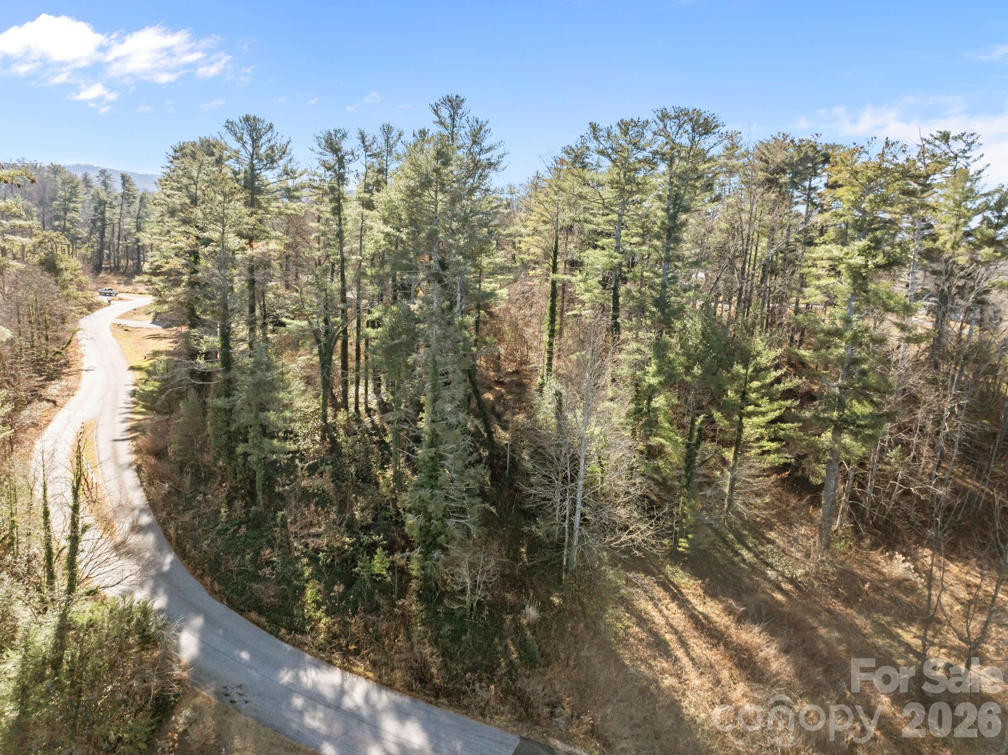 Leonis Mountain Lake Homes - Land