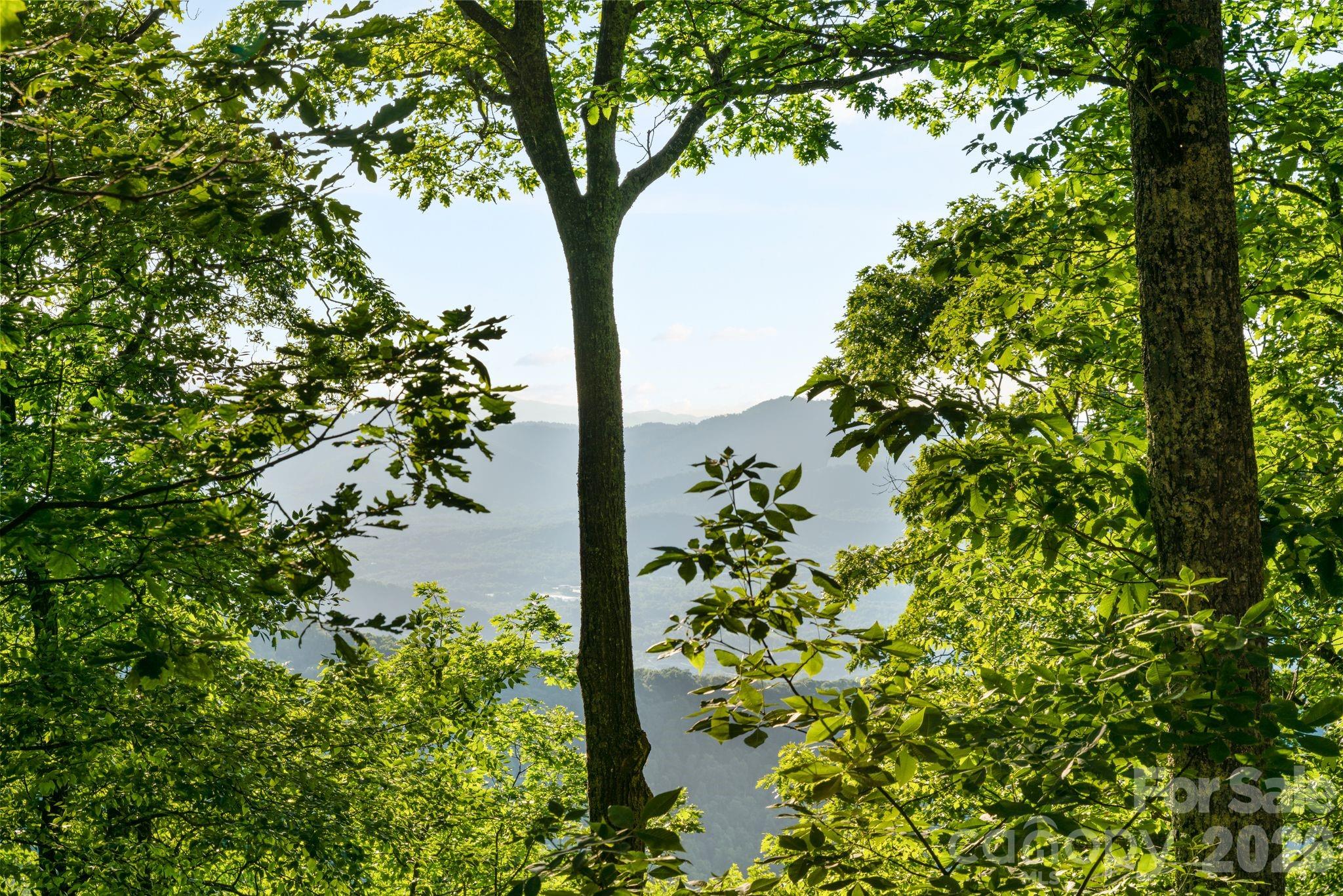 Alpine Mountain - Residential