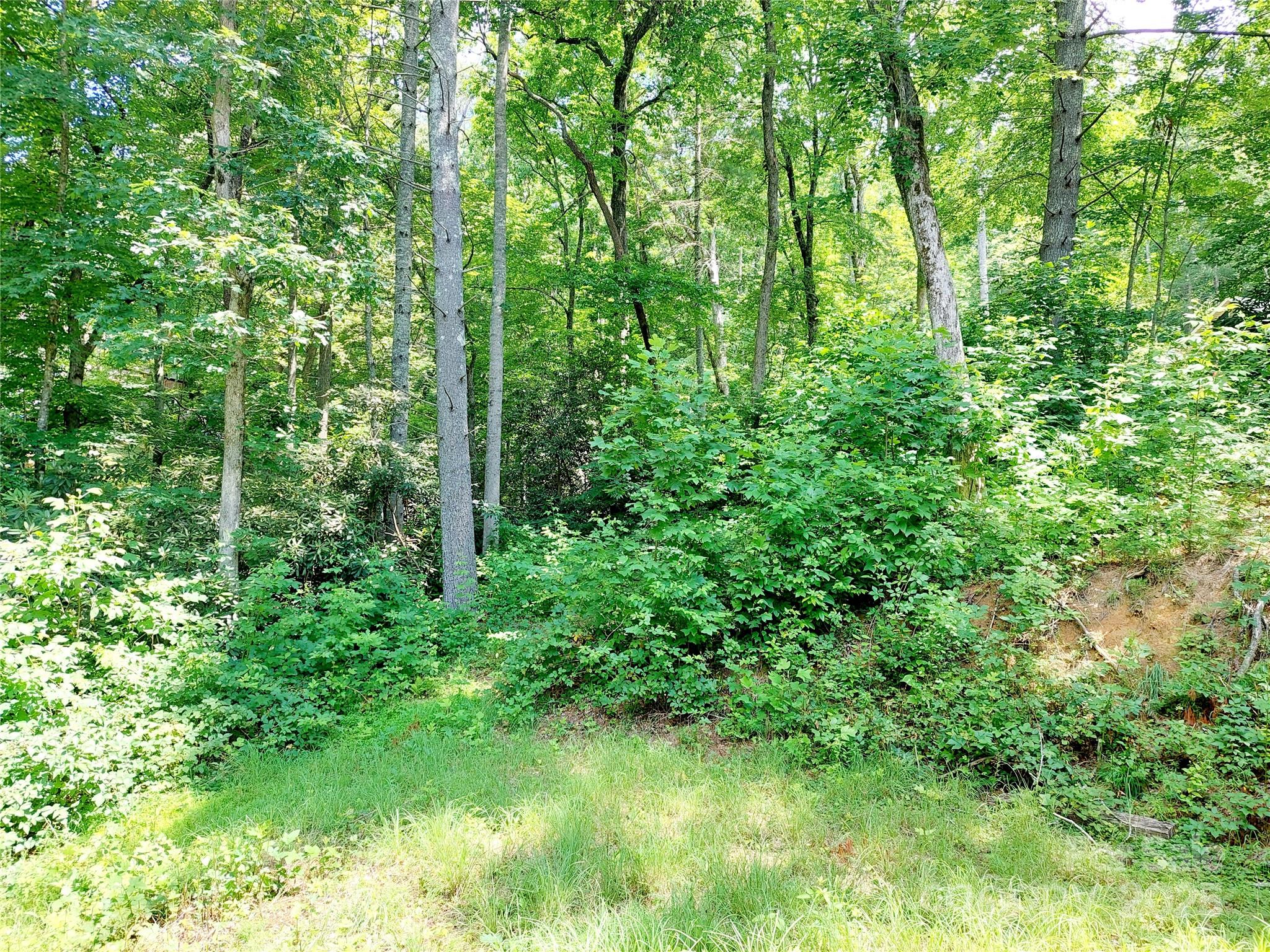 Fountain Trace - Residential