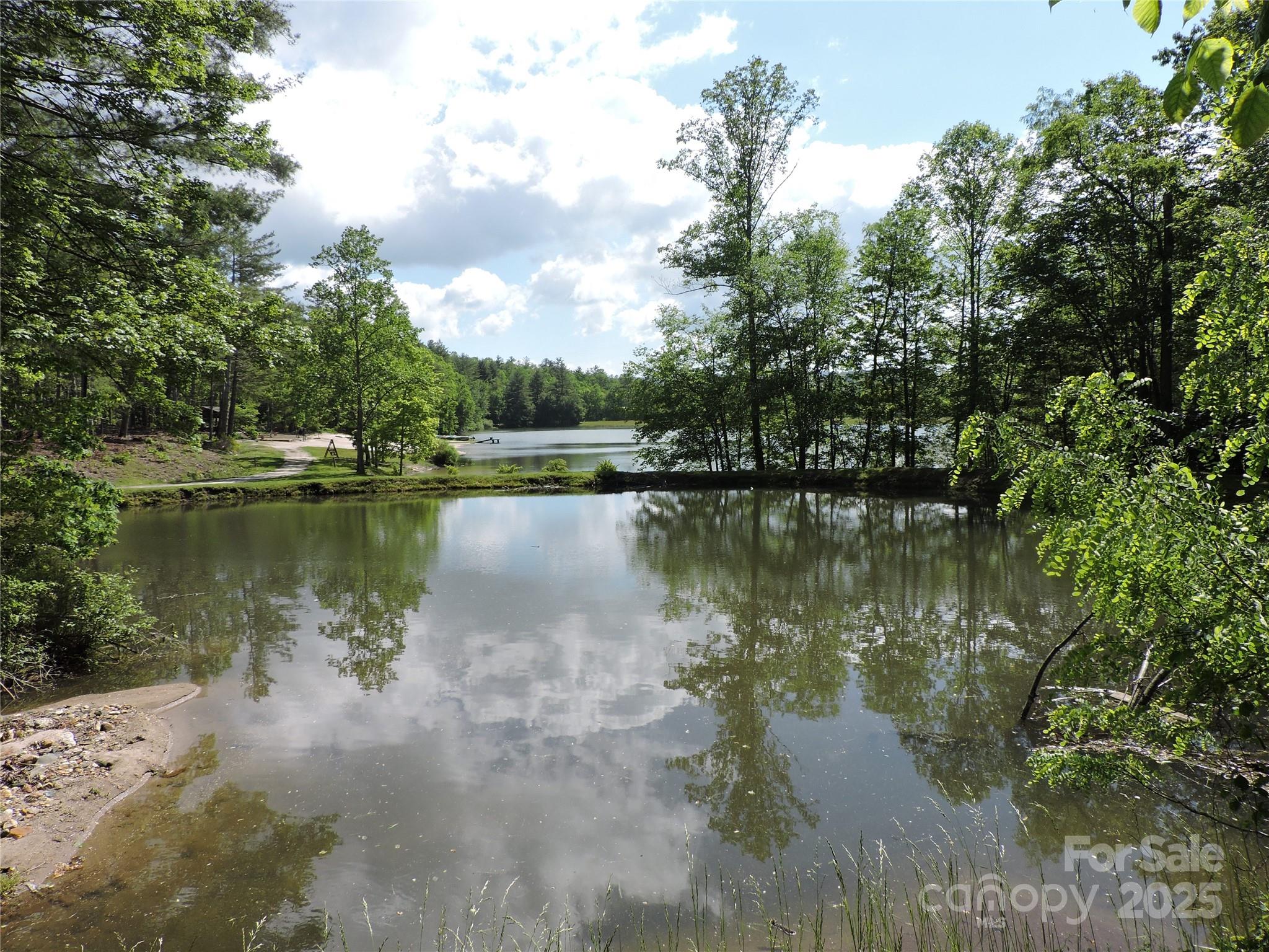Swiss Pine Lake - Land