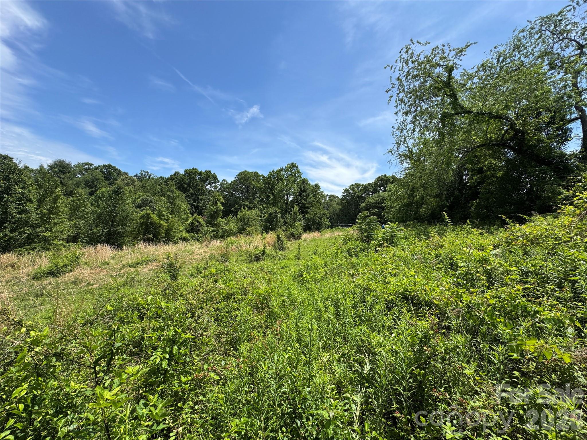Nestled in a peaceful Candler community just minutes from the lively Haywood Road scene and only 15 minutes to downtown Asheville, this beautiful property offers the perfect balance of privacy and convenience. Whether you are envisioning a dream home, second home, or even multiple homesites, the possibilities here are abundant on this 1.7 acre lot.  Paths have already been cut into the property, making it easy to explore and take in the potential building sites.