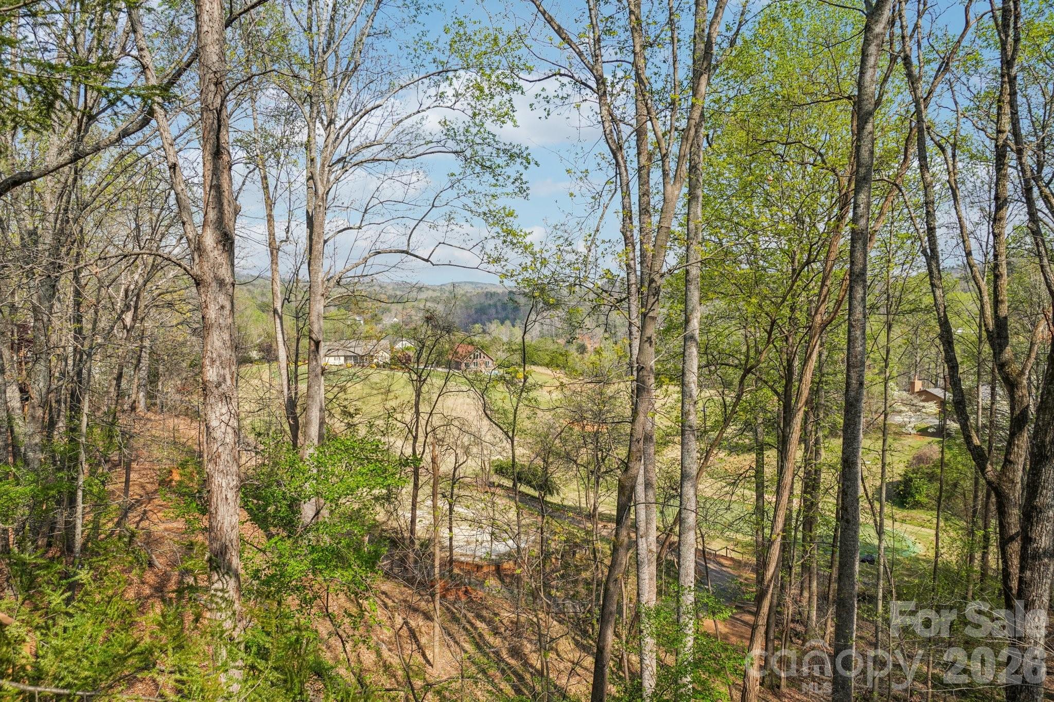 Rumbling Bald on Lake Lure - Residential