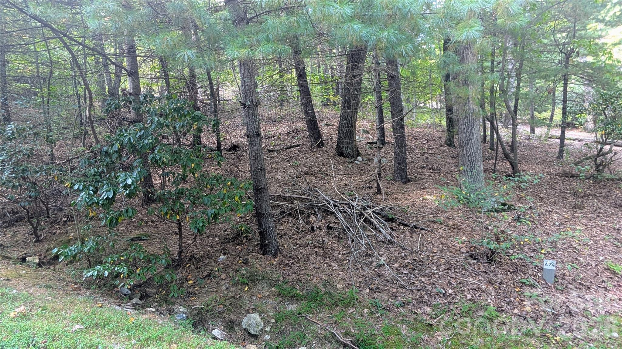 Rare 1.48-acre homesite ready for your luxury build on Glassy Mountain in the private golf community of Kenmure. Enjoy 24/7 security and an optional country club lifestyle—championship golf, clubhouse, dining, fitness, pools, and tennis—just minutes to Historic Flat Rock and Hendersonville amenities. The privately sited property with dramatic rock outcroppings, a lightly wooded canopy, and a gentle-to-moderate slope streamlines site preparation. Selective clearing may open layered mountain and treetop views while preserving serenity. Paved road frontage and community-maintained infrastructure for straightforward build planning. Bordered by the Carl Sandburg Home National Historic Site on two sides of the lot for additional 264-acres of natural privacy and easy access to its network of hiking trails and features. Build your mountain-top retreat where nature, privacy, and convenience meet!