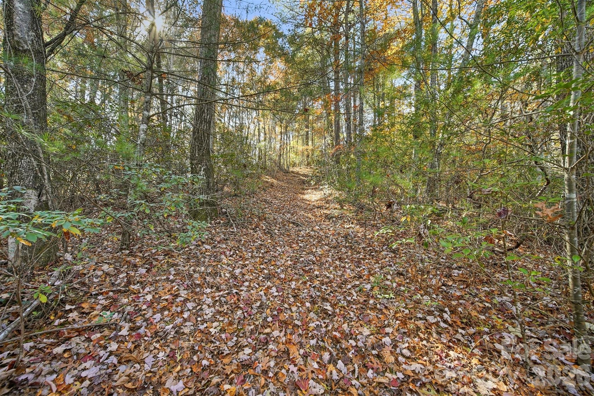 84.67 Acres Unrestricted Mountain Paradise! Discover the ultimate nature lover’s retreat with this rolling, wooded tract full of wildlife and natural beauty. A peaceful stream boarders the property, adding to its charm and tranquility. Offering endless possibilities for your dream estate, recreational use, or private getaway, this land provides the privacy you’ve been seeking. A NC Forestry Agreement is in place for tax deferment, reducing annual property taxes while encouraging responsible land management. This program not only provides cost savings but also supports the long-term health and value of your land. Access is via a 30’ right-of-way along a public dirt road and will require a bridge or culvert for entry to the back 78+ acres (BUYER TO VERIFY THOSE REQUIREMENTS). Recent survey available. Property is peaceful, secluded, and free from restrictions. No drive-bys, must be accompanied by a licensed real estate agent. No signs on property.