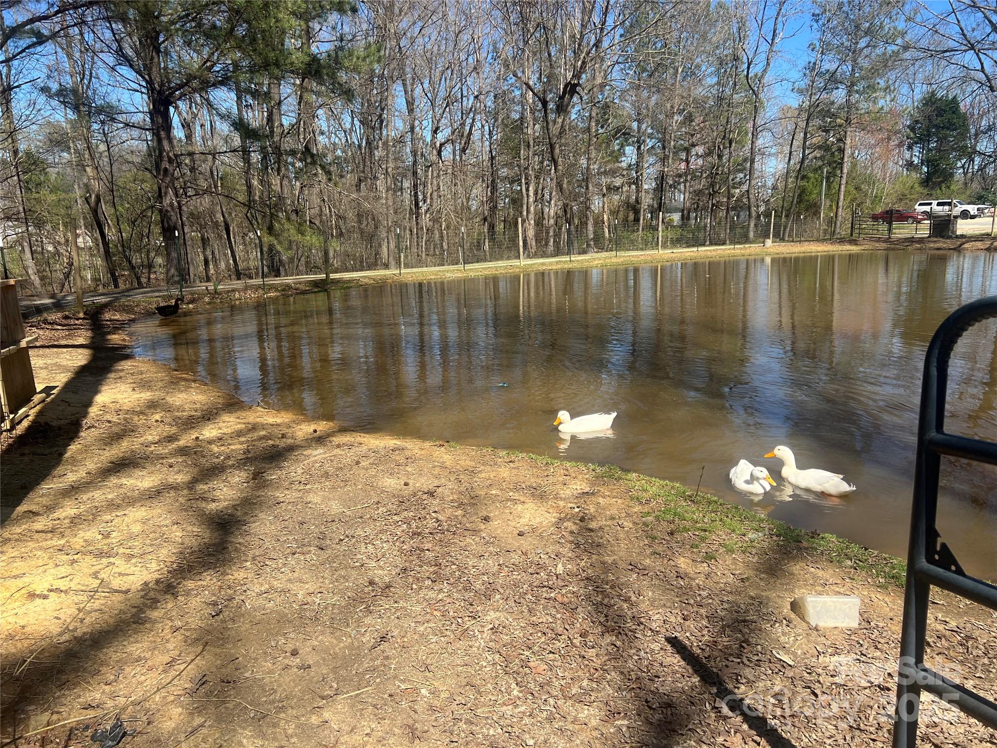 Courtney Place - Residential