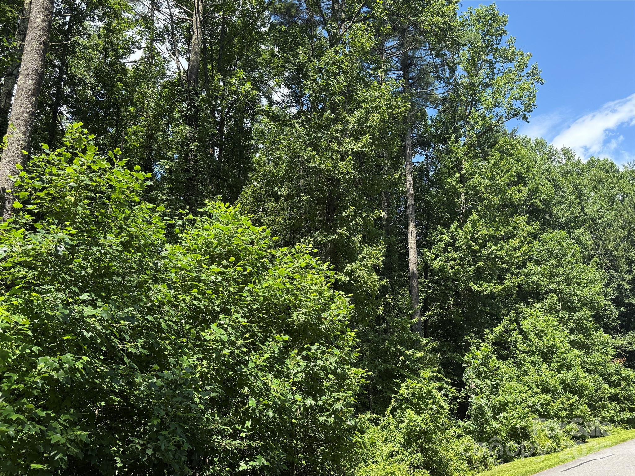 Mountain Brook - Land