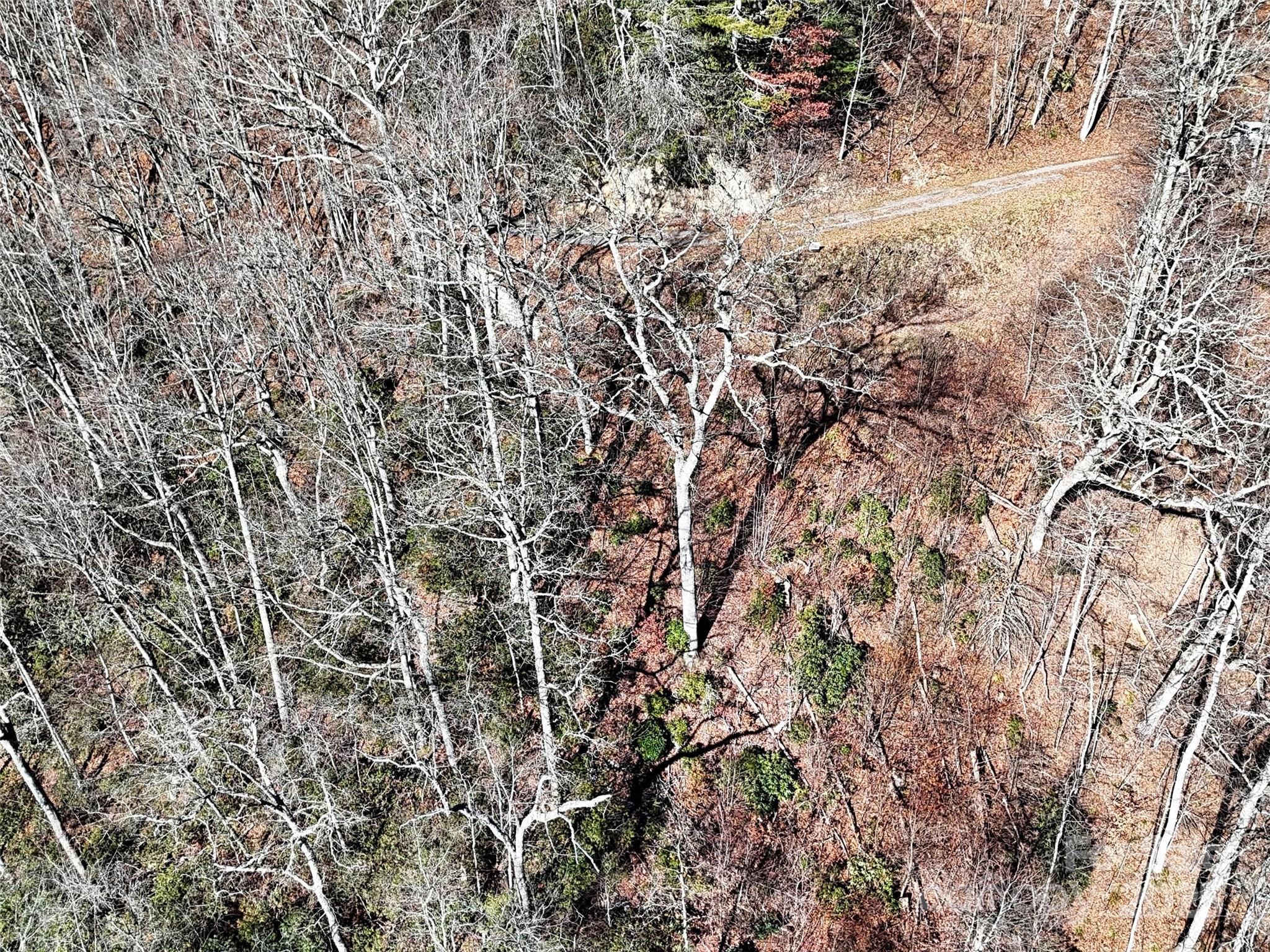 Hurricane Ridge Ltd - Land