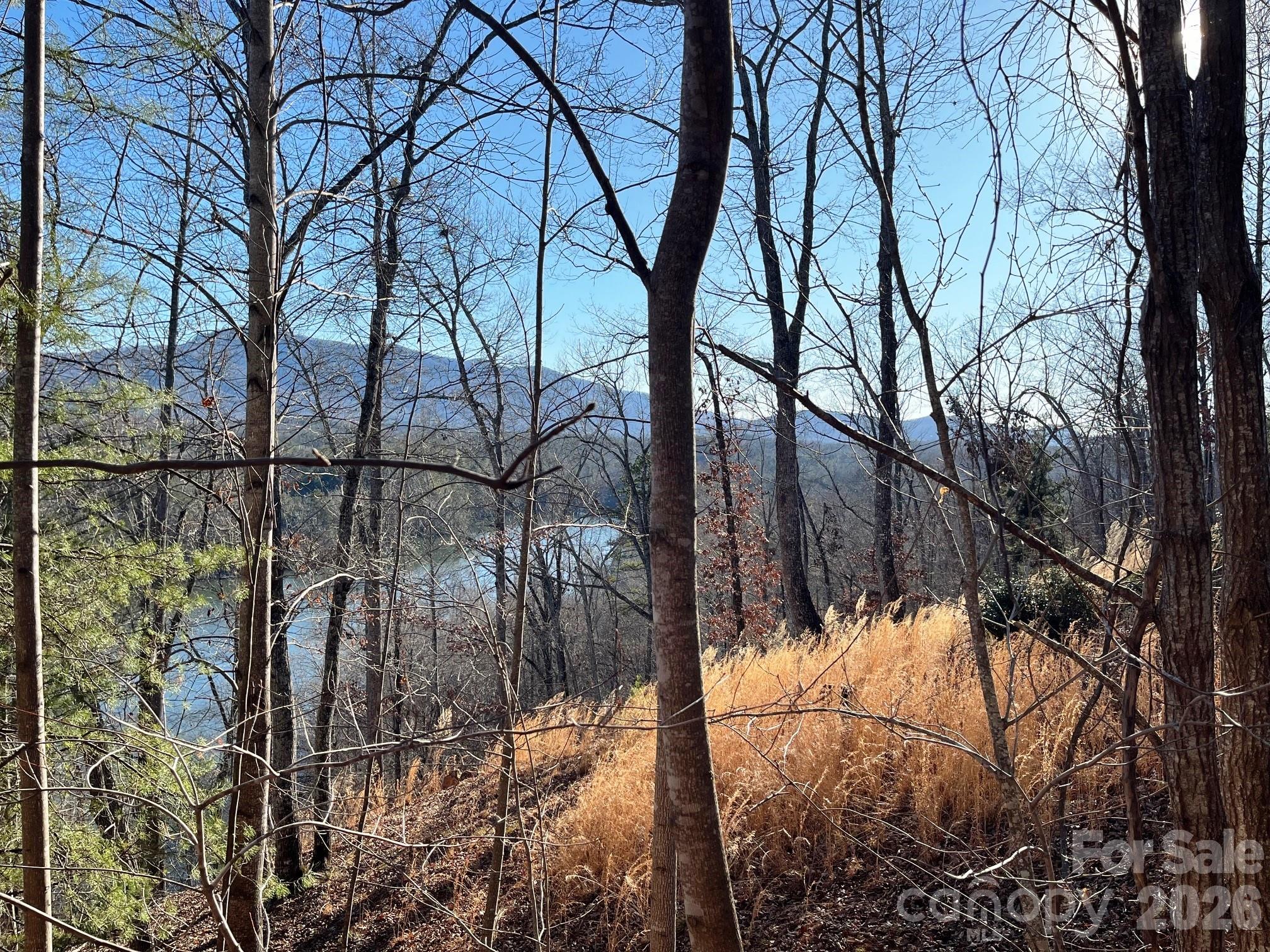 Lake Adger - Land