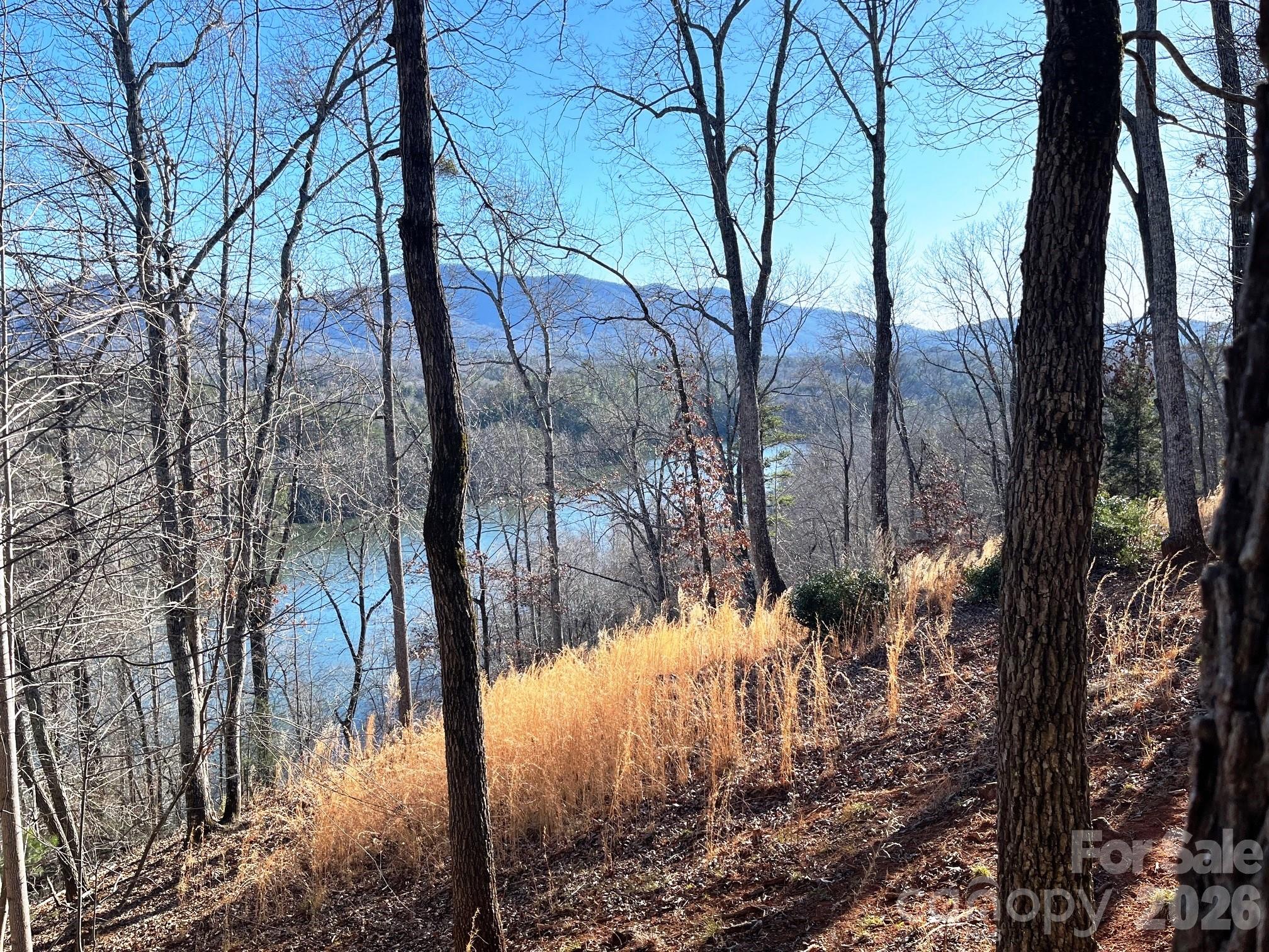 Lake Adger - Land