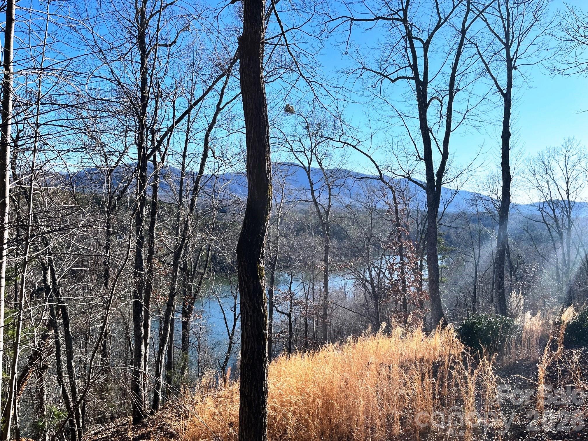 Introducing this stunning 2.06 acre lake front lot, nestled in the picturesque, gated Mountain Park community of Lake Adger. This exclusive property boasts breathtaking mountain views, serene waterfront access with a marina slip included making it the perfect setting for your dream home.  Imagine waking up to the tranquil sounds of the lake and enjoying panoramic vistas of the surrounding mountains. It’s a rare opportunity for those who love boating, fishing, and swimming with endless possibilities for outdoor adventures.  Don't miss out on the chance to own your own slice of heaven-Lake Adger is a private community on a 438 acre lake with 14 miles of shoreline. Enjoy the nature throughout the neighborhood as you stroll along the miles of walking and equestrian trails with spectacular views of the mountains, lake and streams.  Come and experience the beauty of this remarkable community today! Schedule a viewing and start envisioning your future in this idyllic setting.