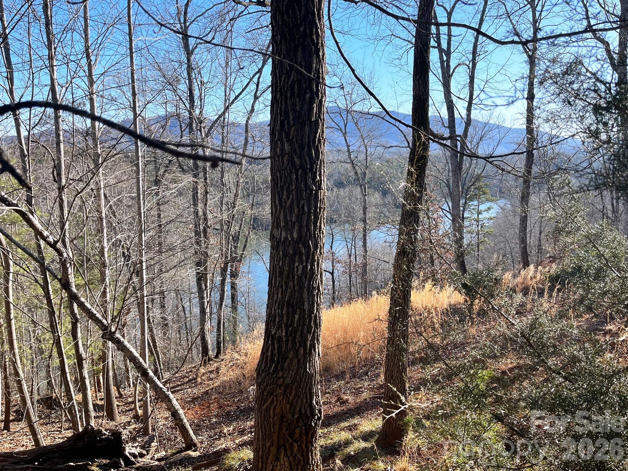 Lake Adger - Land