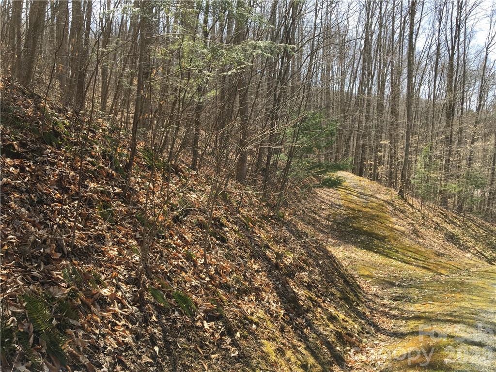 Trillium - Land