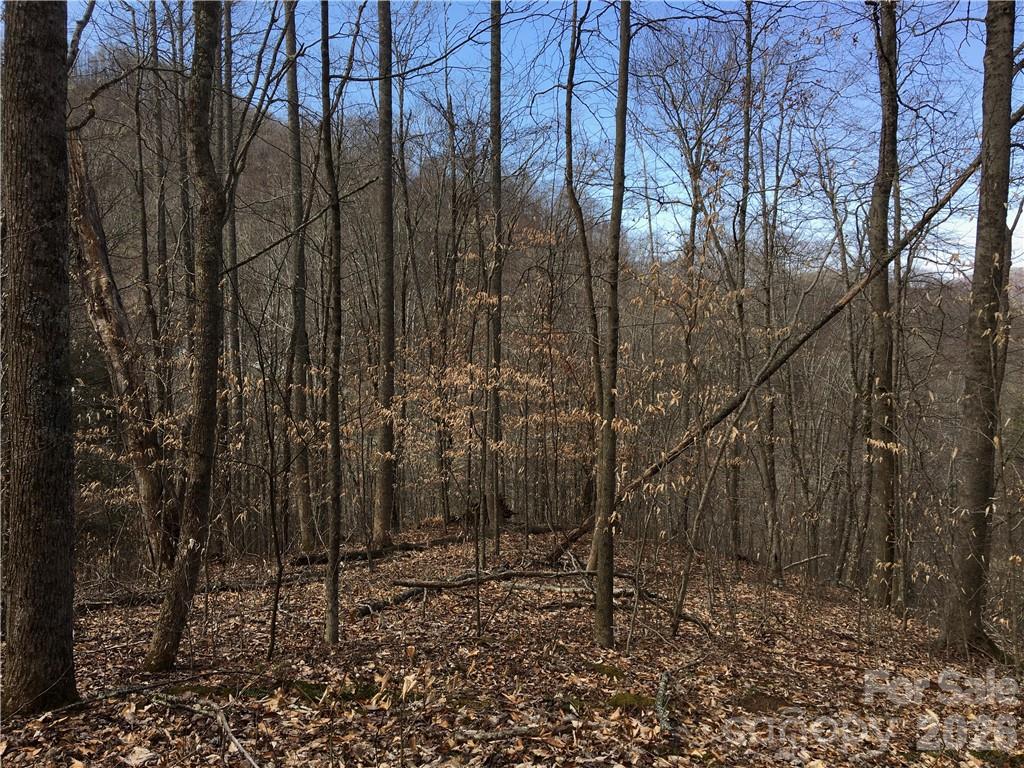 Trillium - Land