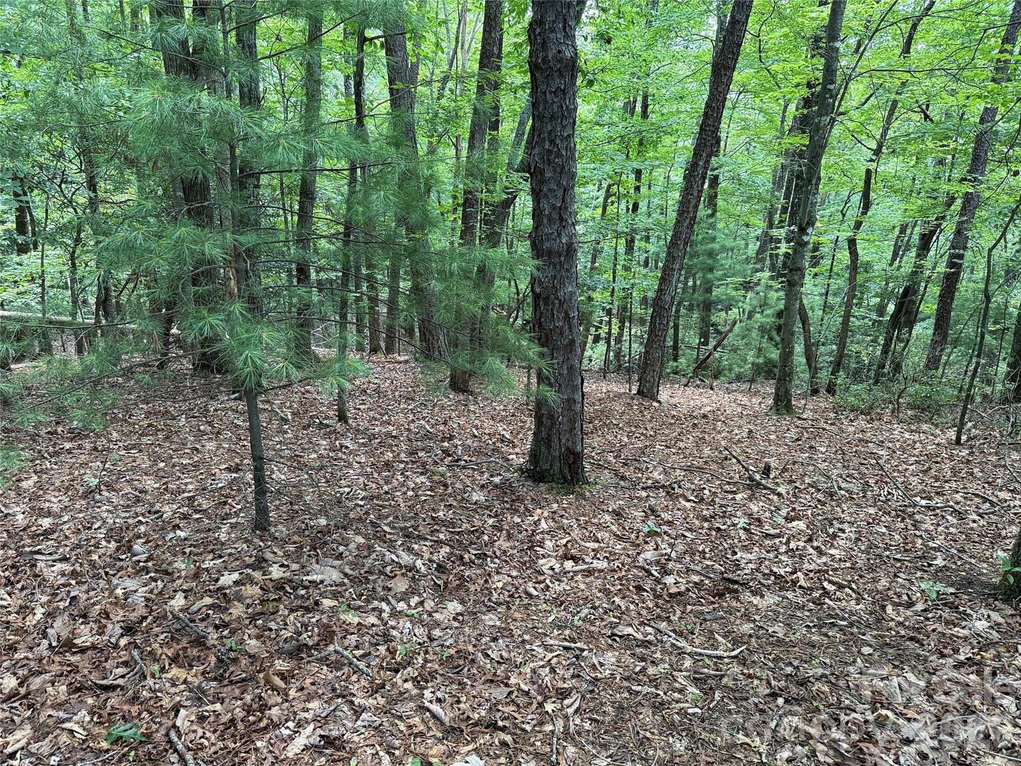 Buck Mountain - Land