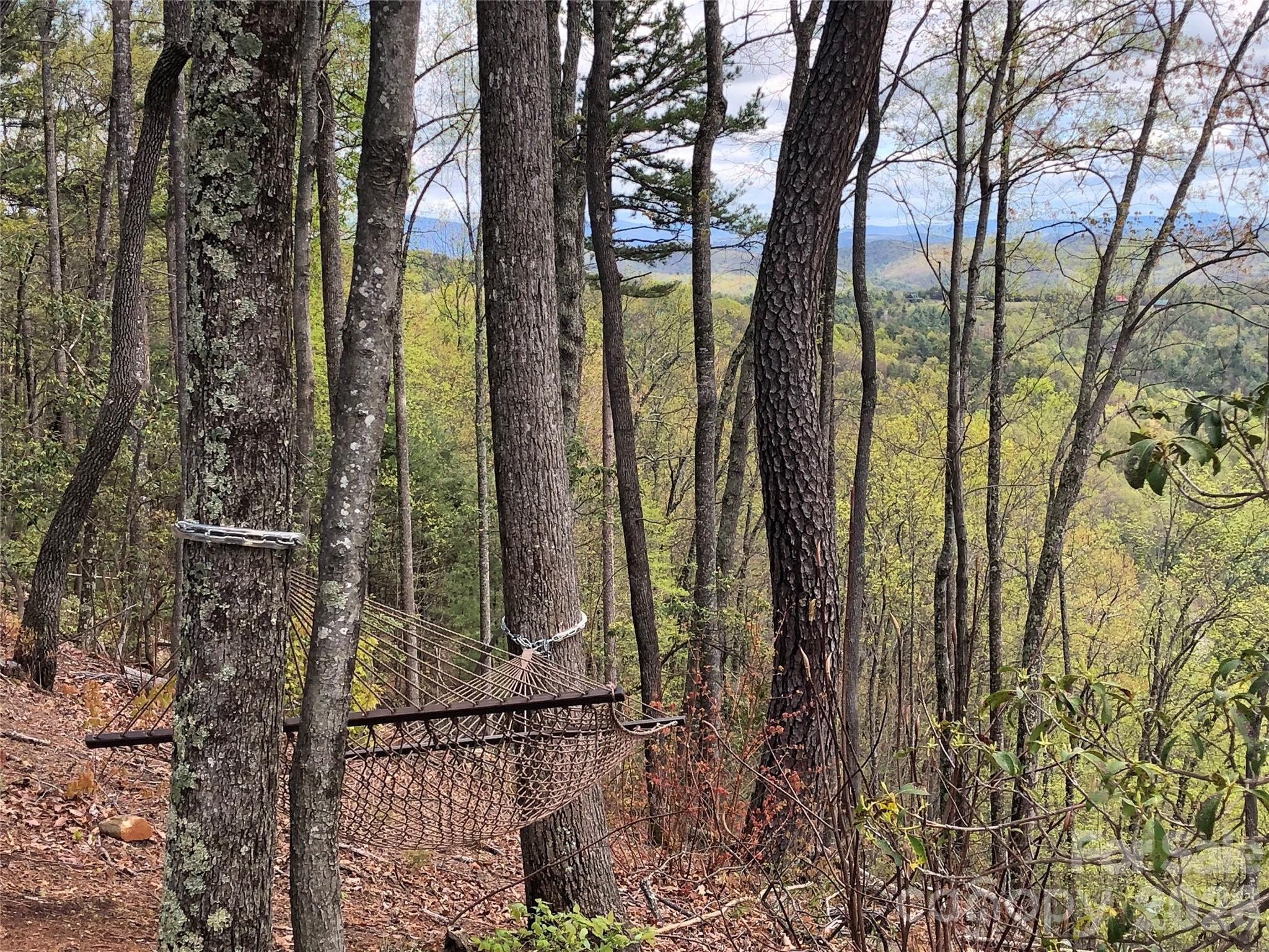Buck Mountain - Land