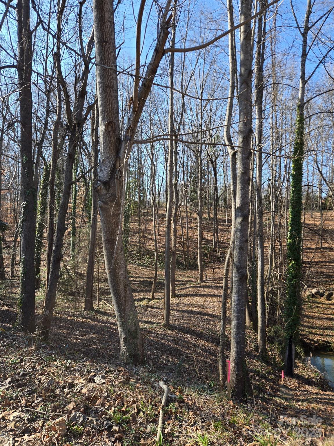 Brookwood Hills - Land