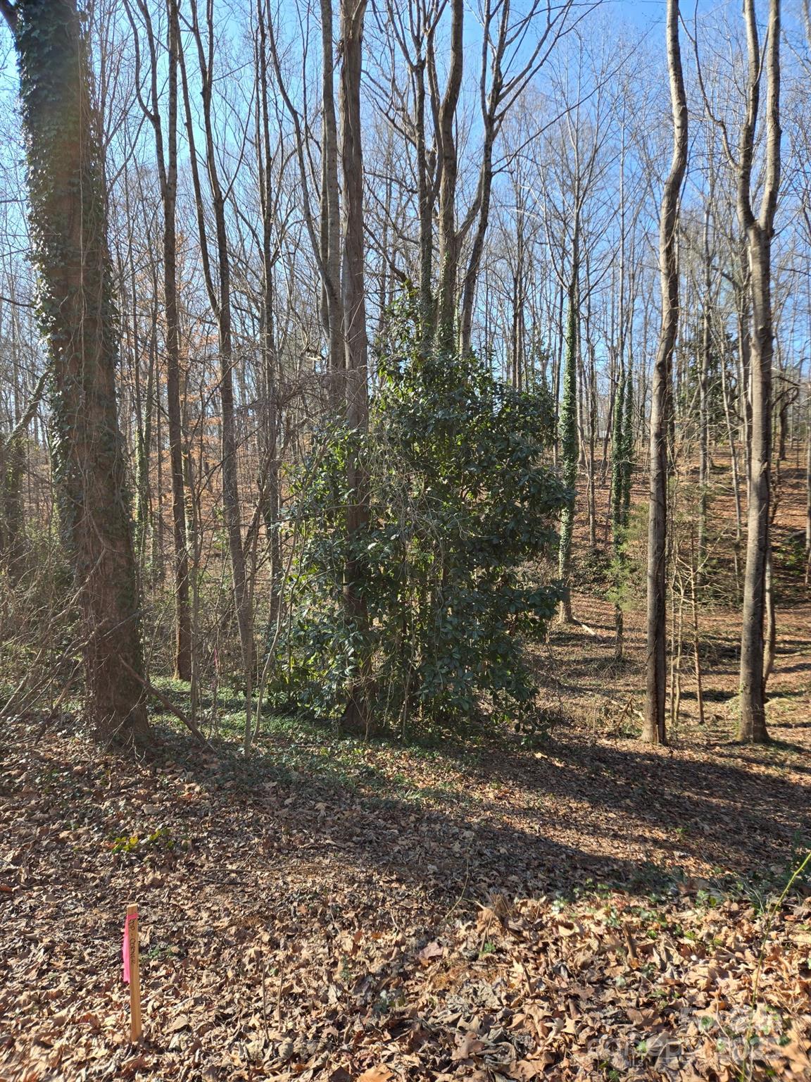 Brookwood Hills - Land