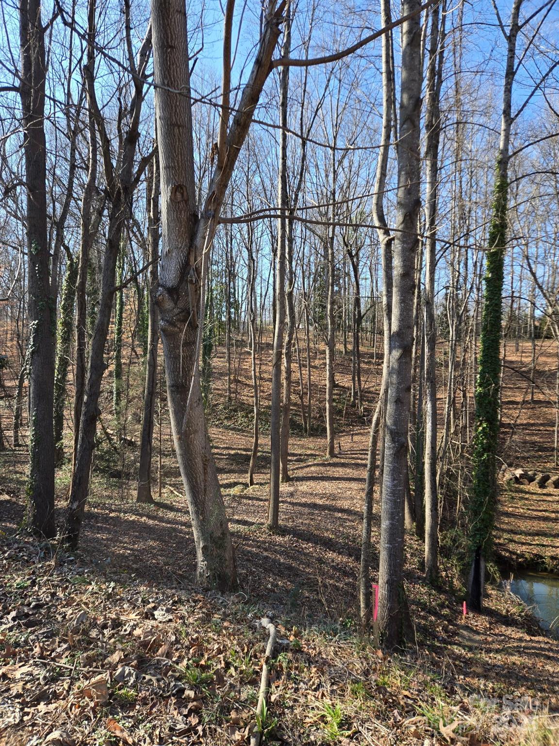 Brookwood Hills - Land