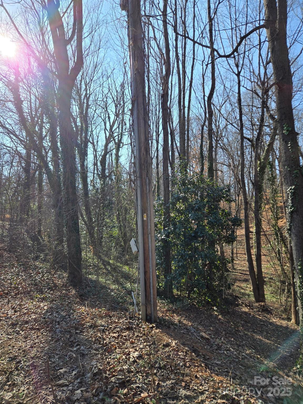 Brookwood Hills - Land