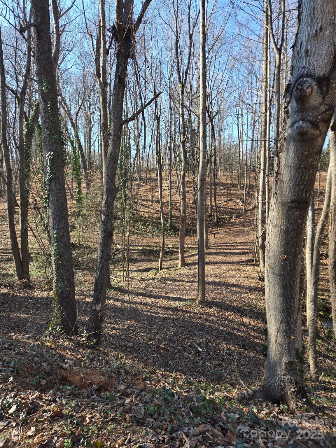 Brookwood Hills - Land