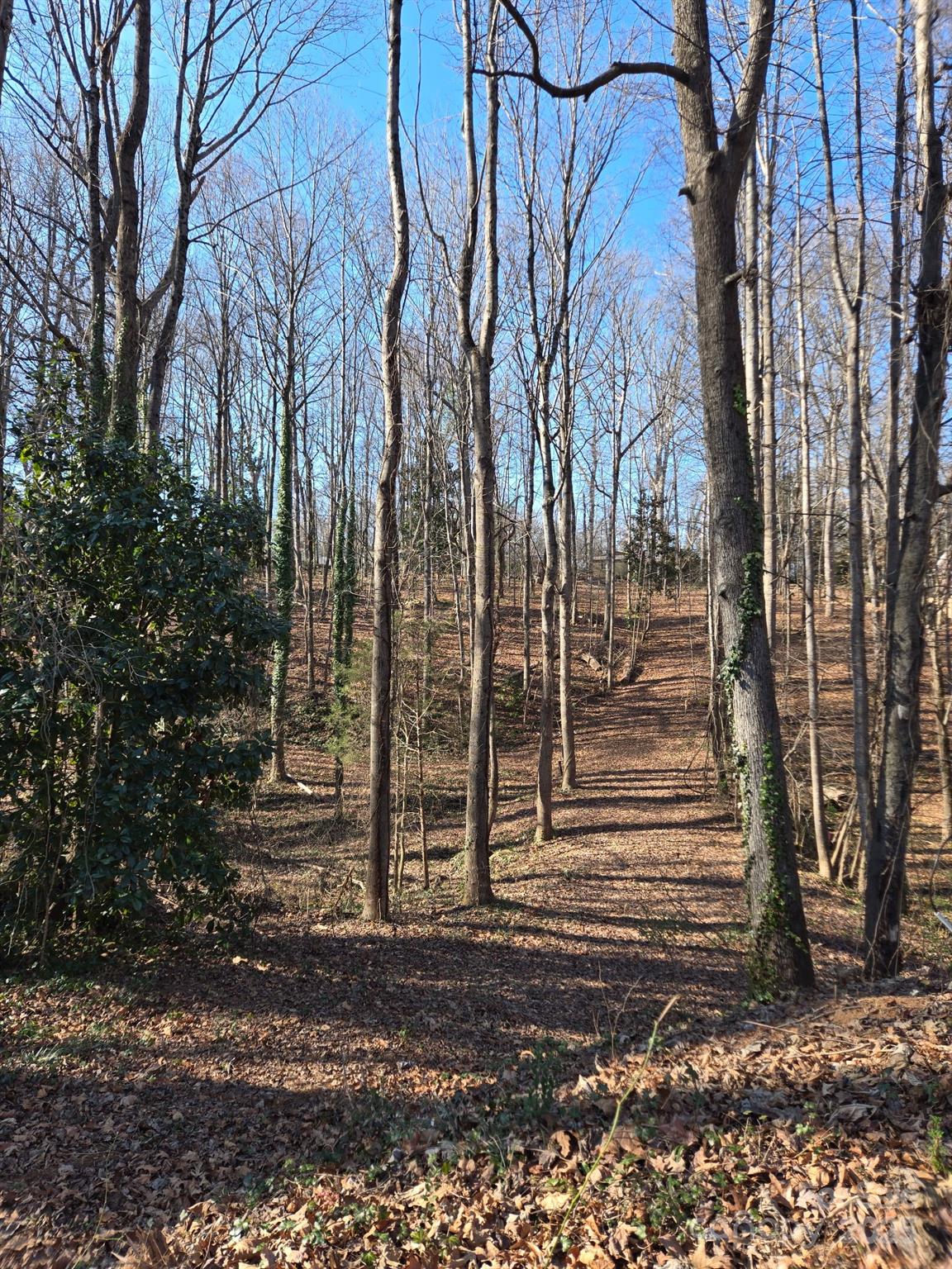 Brookwood Hills - Land
