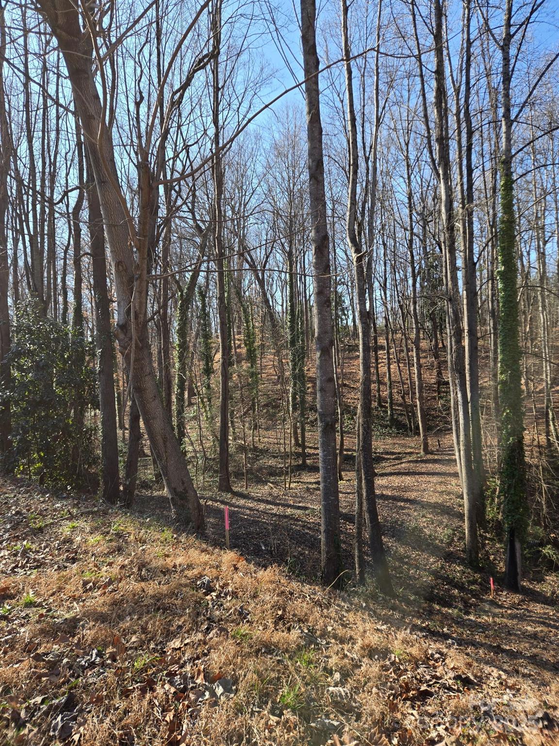 Brookwood Hills - Land