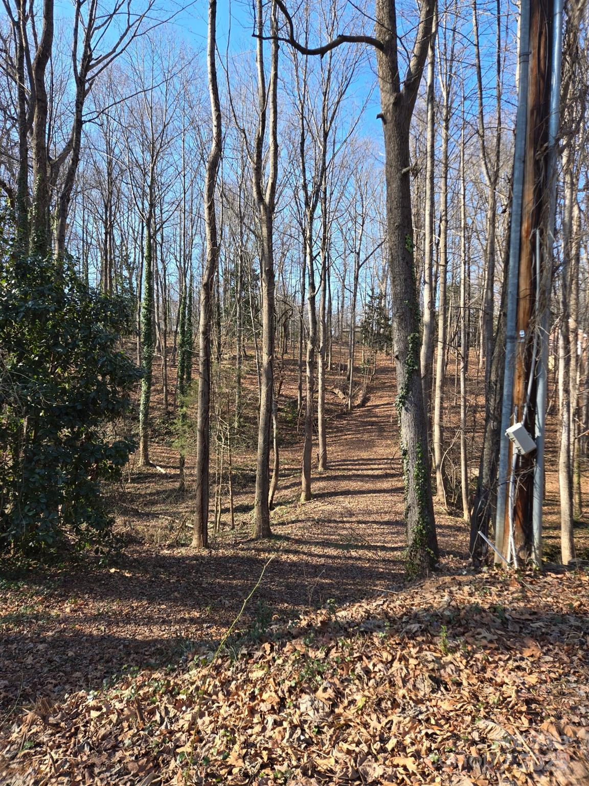 Brookwood Hills - Land