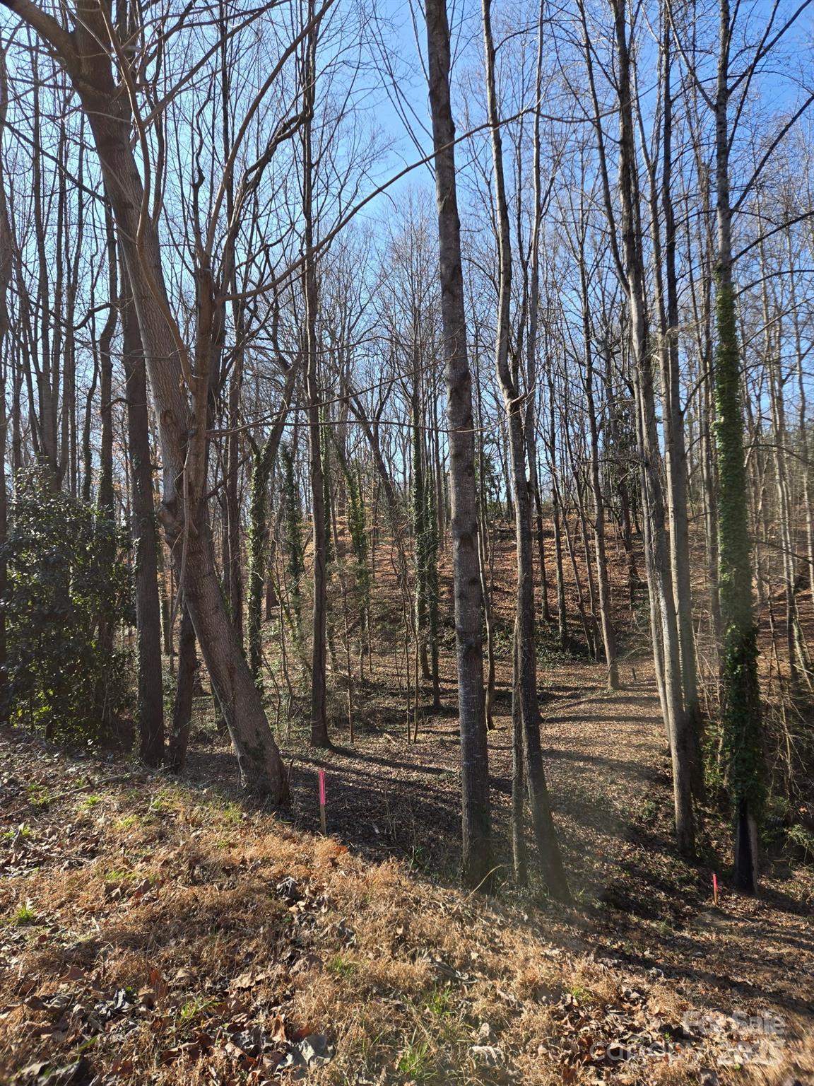 Brookwood Hills - Land