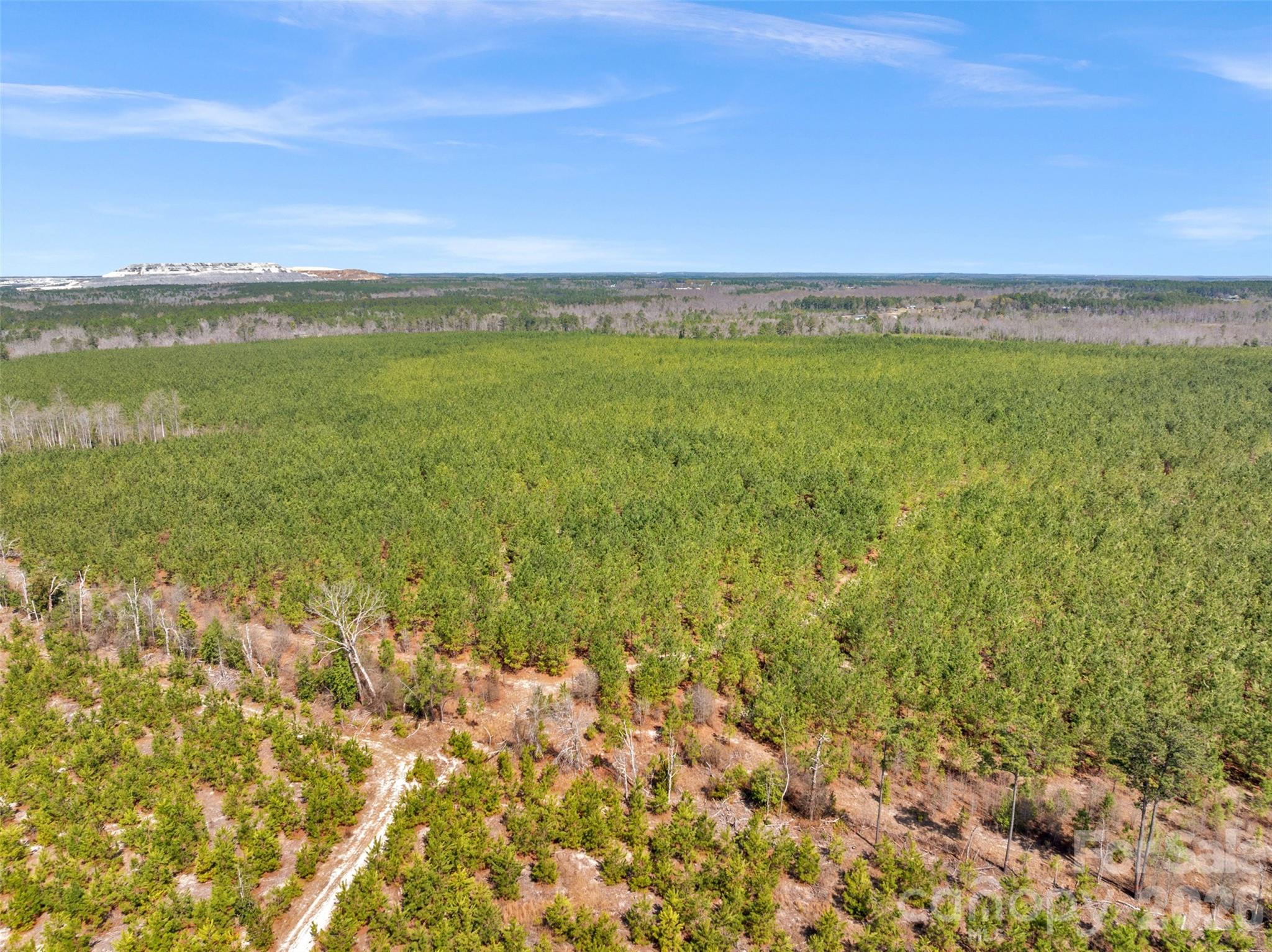 17 acres of mixed pine and hardwood timberland in Kershaw County's Sandhills corridor — surveyed, accessible, and ready for your vision. 
This wooded tract features gently rolling terrain and well-drained sandy loam soils, making it an ideal canvas for a custom homesite, private homestead, hunting retreat, recreational property, or hobby farm. Mature timber provides natural privacy while supporting exceptional wildlife habitat including whitetail deer and Eastern wild turkey. Neighboring large tracts form a continuous corridor, making this one of the stronger hunting and recreational parcels available in the region.
Centrally located between Columbia and Charlotte, both approximately one hour away, with convenient access via I-77 and SC-521. Whether you are planning to build full-time, escape on weekends, or invest in appreciating rural land, this property checks every box.
Survey completed. Additional acreage available — ask about adjoining parcels for expanded opportunity.
Property Highlights: 17 acres mixed pine and hardwood timberland. Well-drained sandy loam soils. Whitetail deer and wild turkey habitat. One hour to Columbia and Charlotte. I-77 and SC-521 access. Survey completed. More land available.