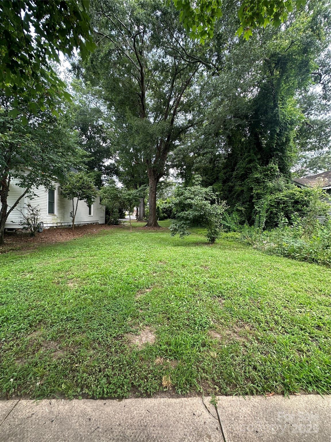 Welcome to 525 College Ave - a rare vacant lot located between Downtown Rock Hill and Winthrop University. Whether you're looking to build your dream home or an investment property, this lot is the perfect blank canvas. Zone for single - family residential and located within walking distance to shops, restaurants, parts and campus, this location blends convenience with potential. No HOA. No required builder. Just pure potential in one of Rock Hill's most desirable and up-and-coming areas.