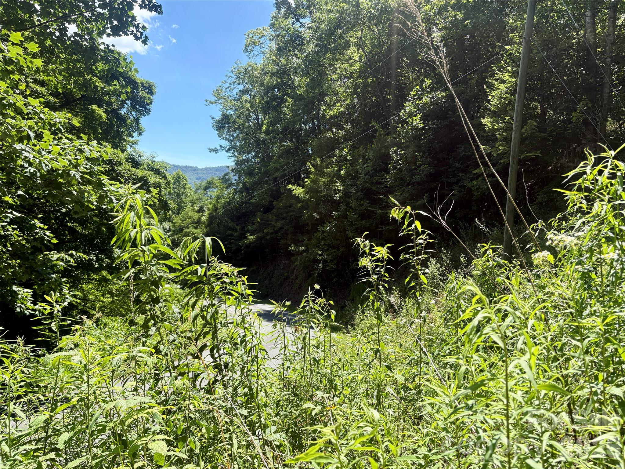 Alarka Creek Properties - Land