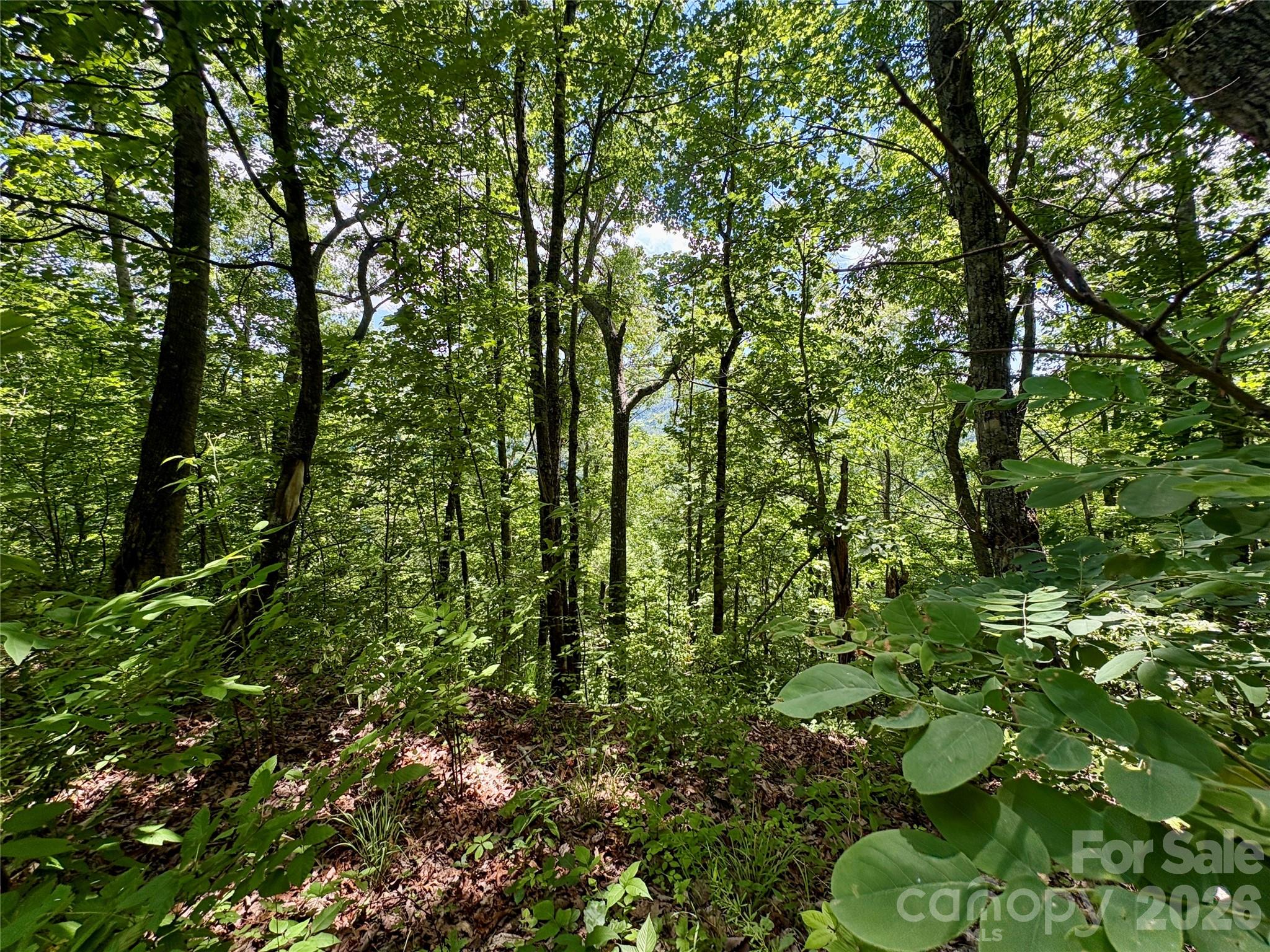 Alarka Creek Properties - Land