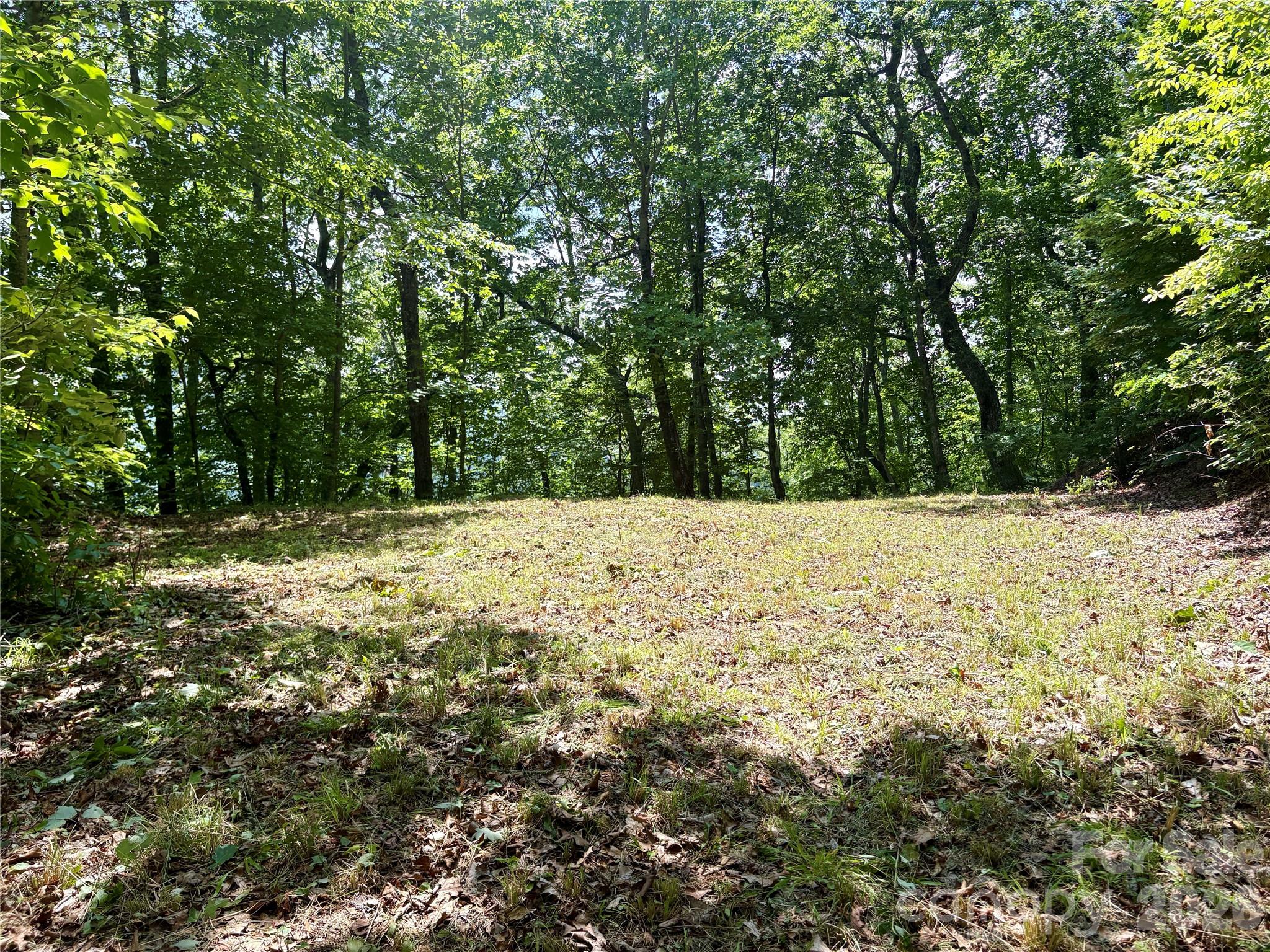 Alarka Creek Properties - Land