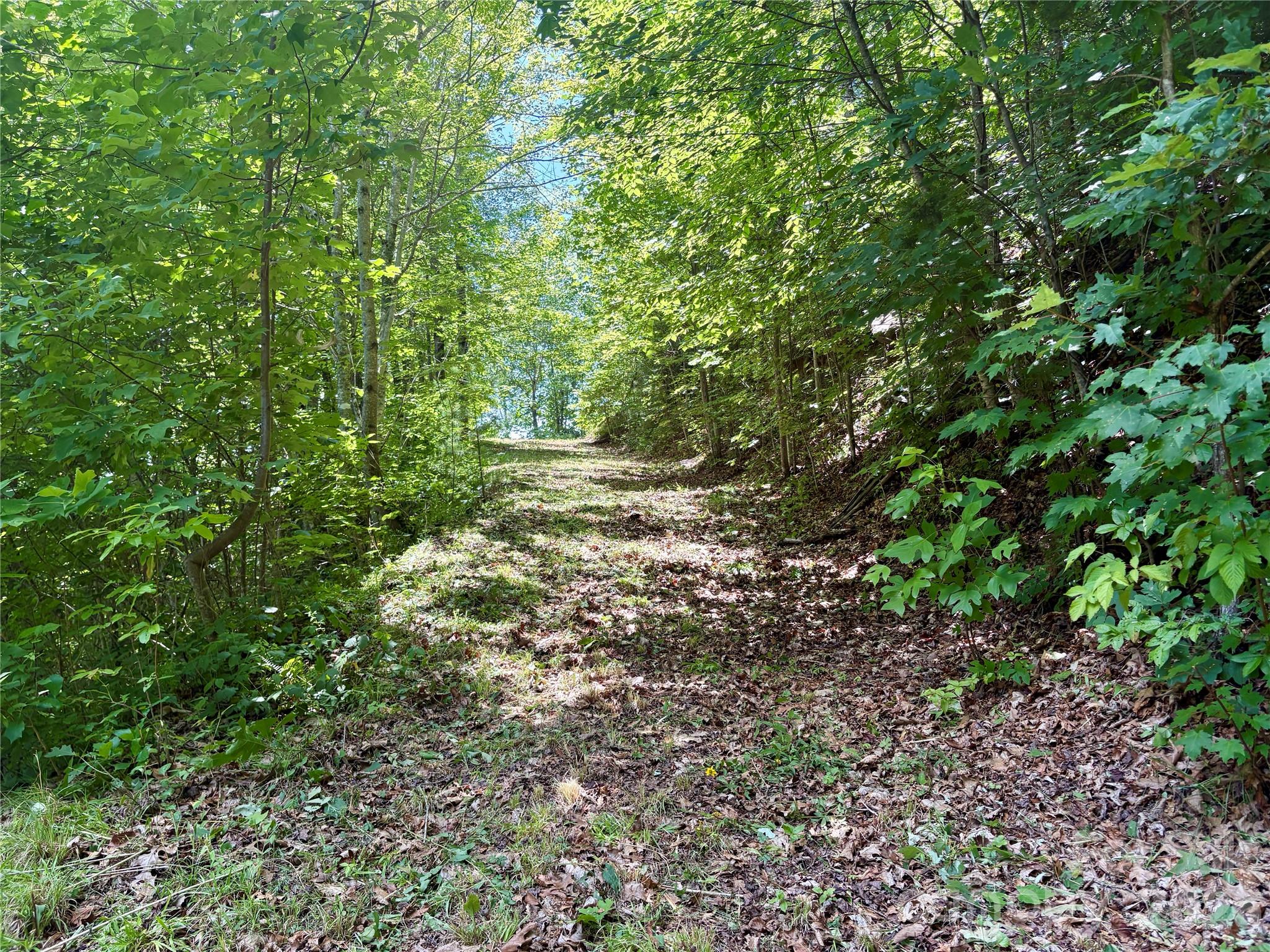 Alarka Creek Properties - Land