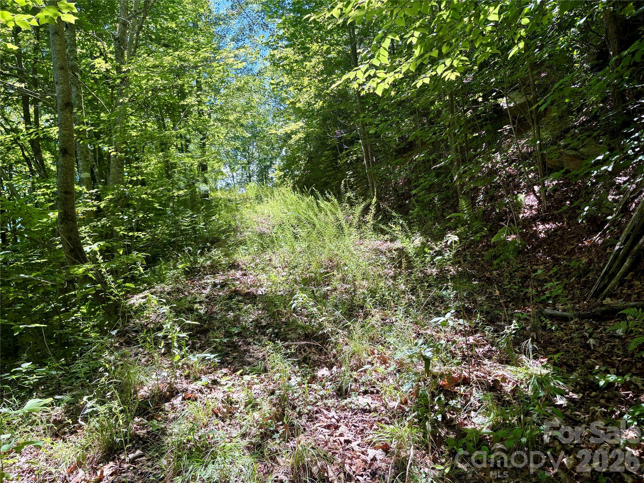 Alarka Creek Properties - Land
