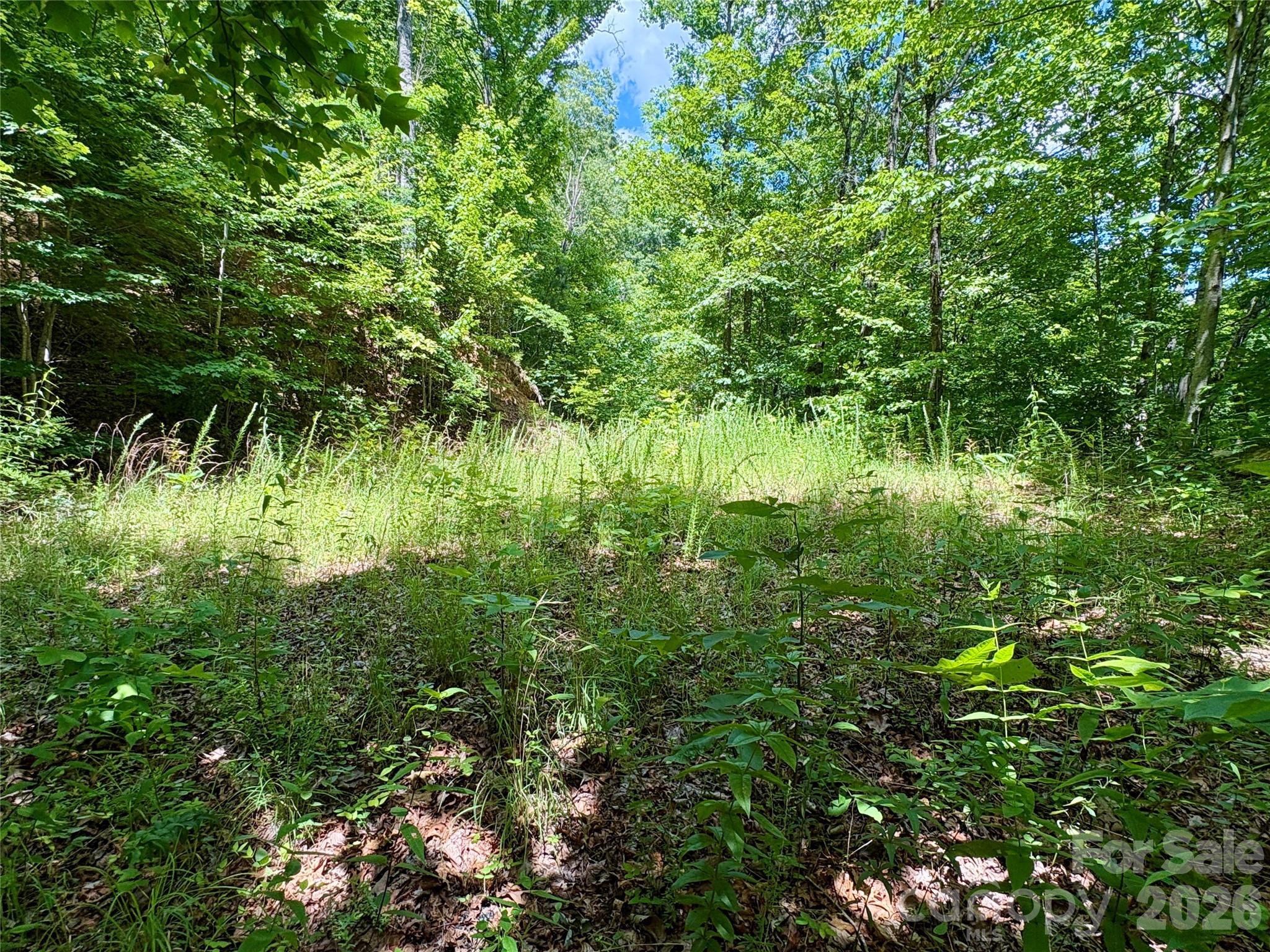 Alarka Creek Properties - Land