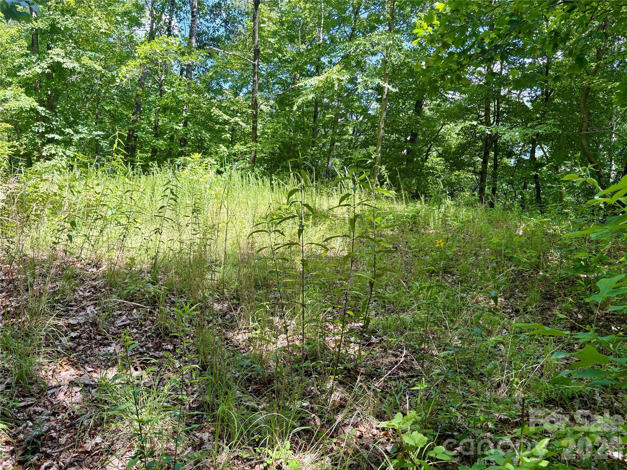 Alarka Creek Properties - Land