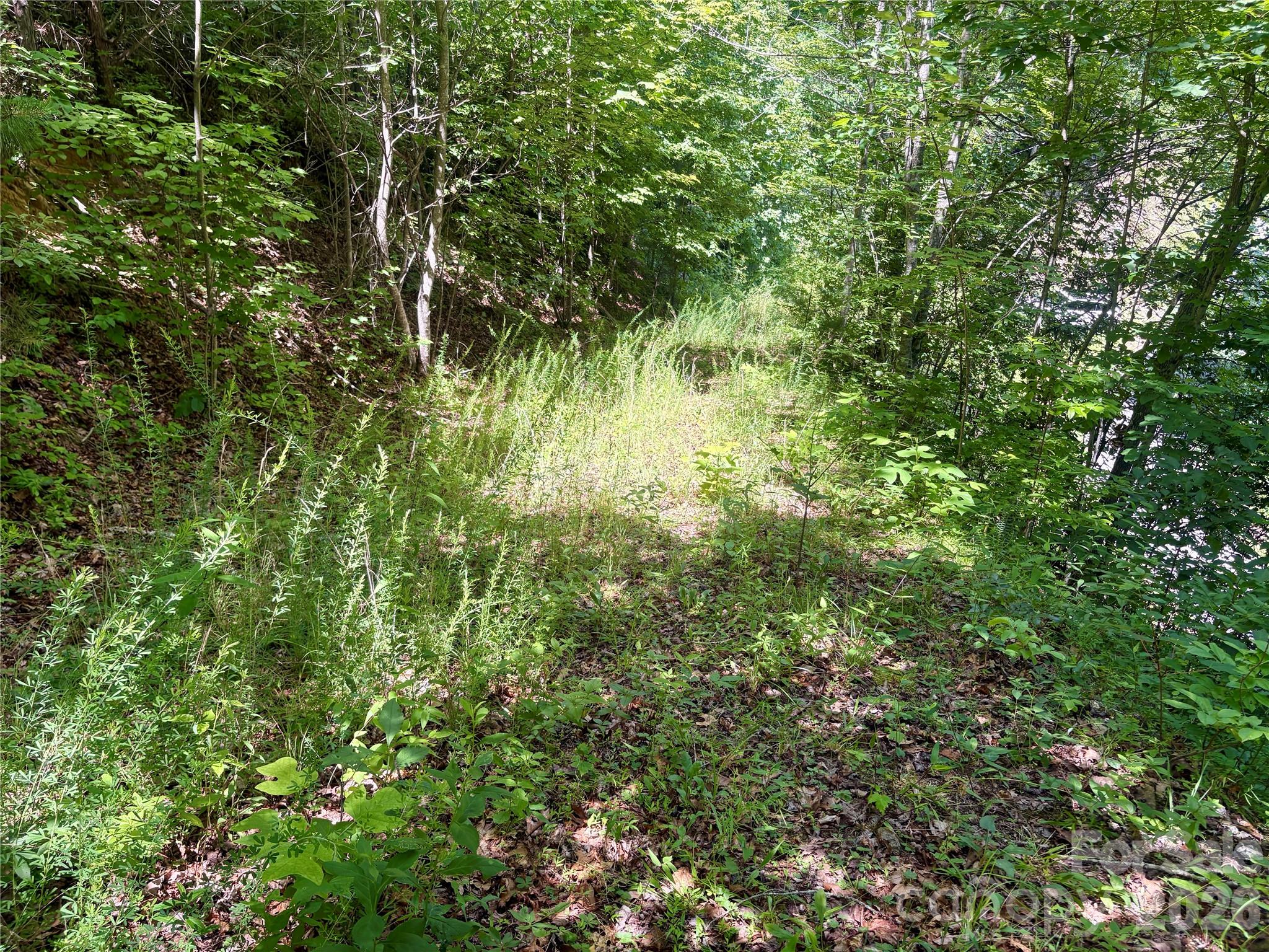 Alarka Creek Properties - Land