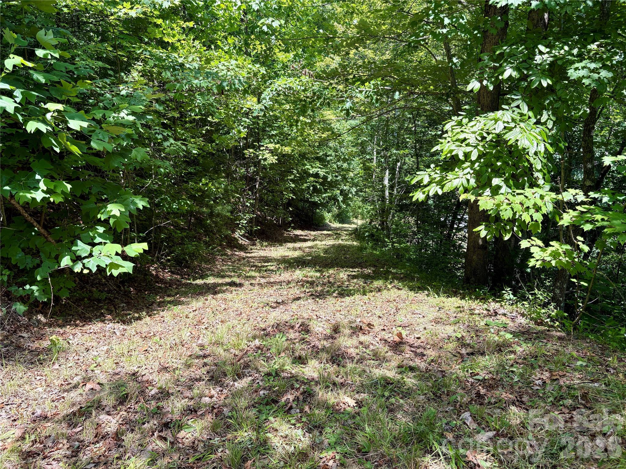 Alarka Creek Properties - Land