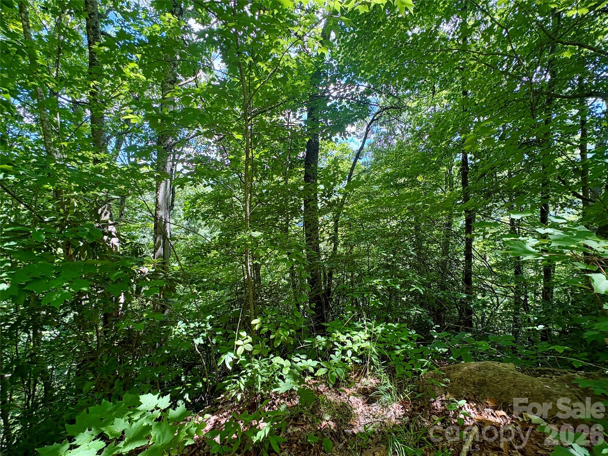 Alarka Creek Properties - Land