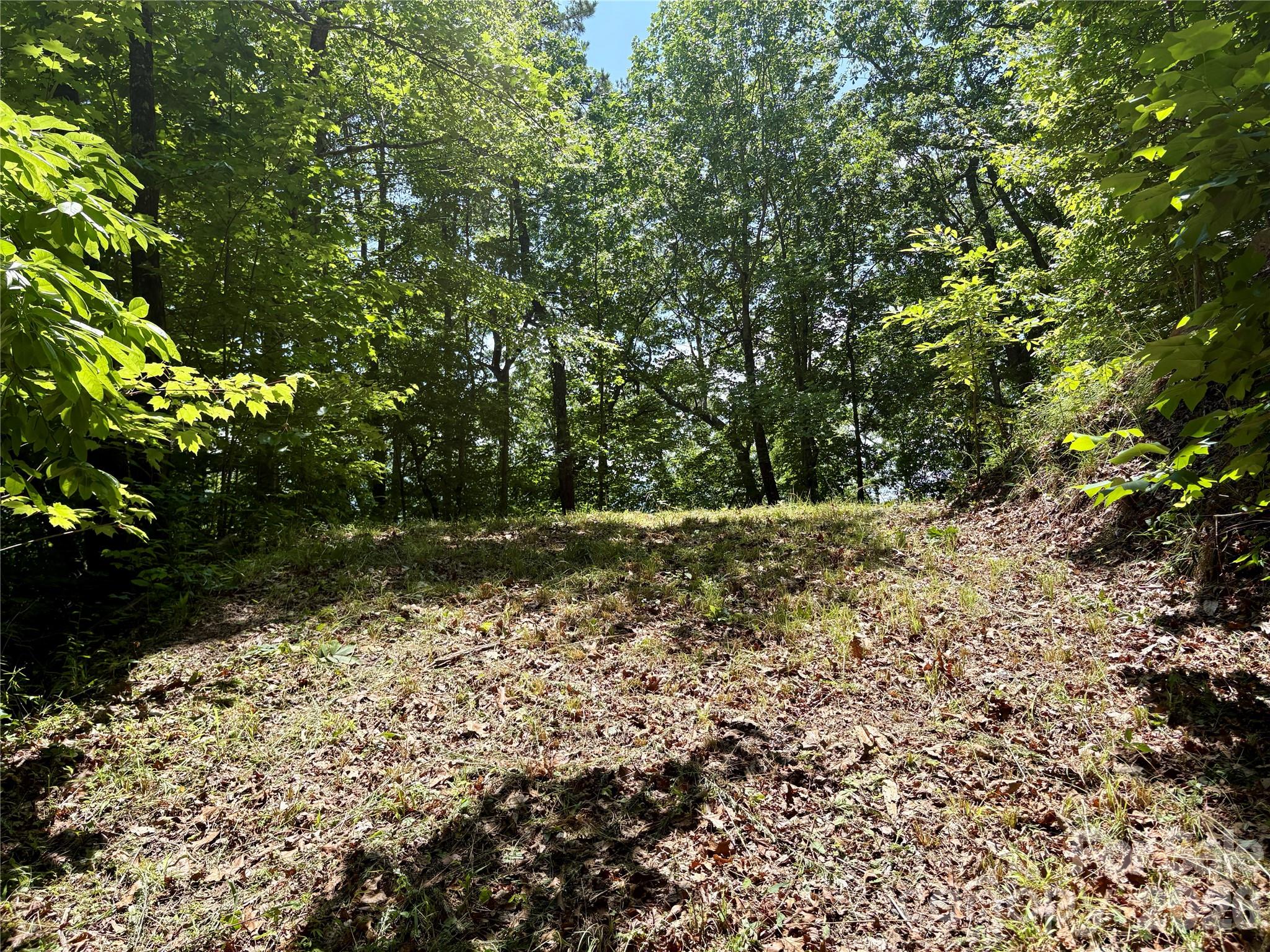 Alarka Creek Properties - Land