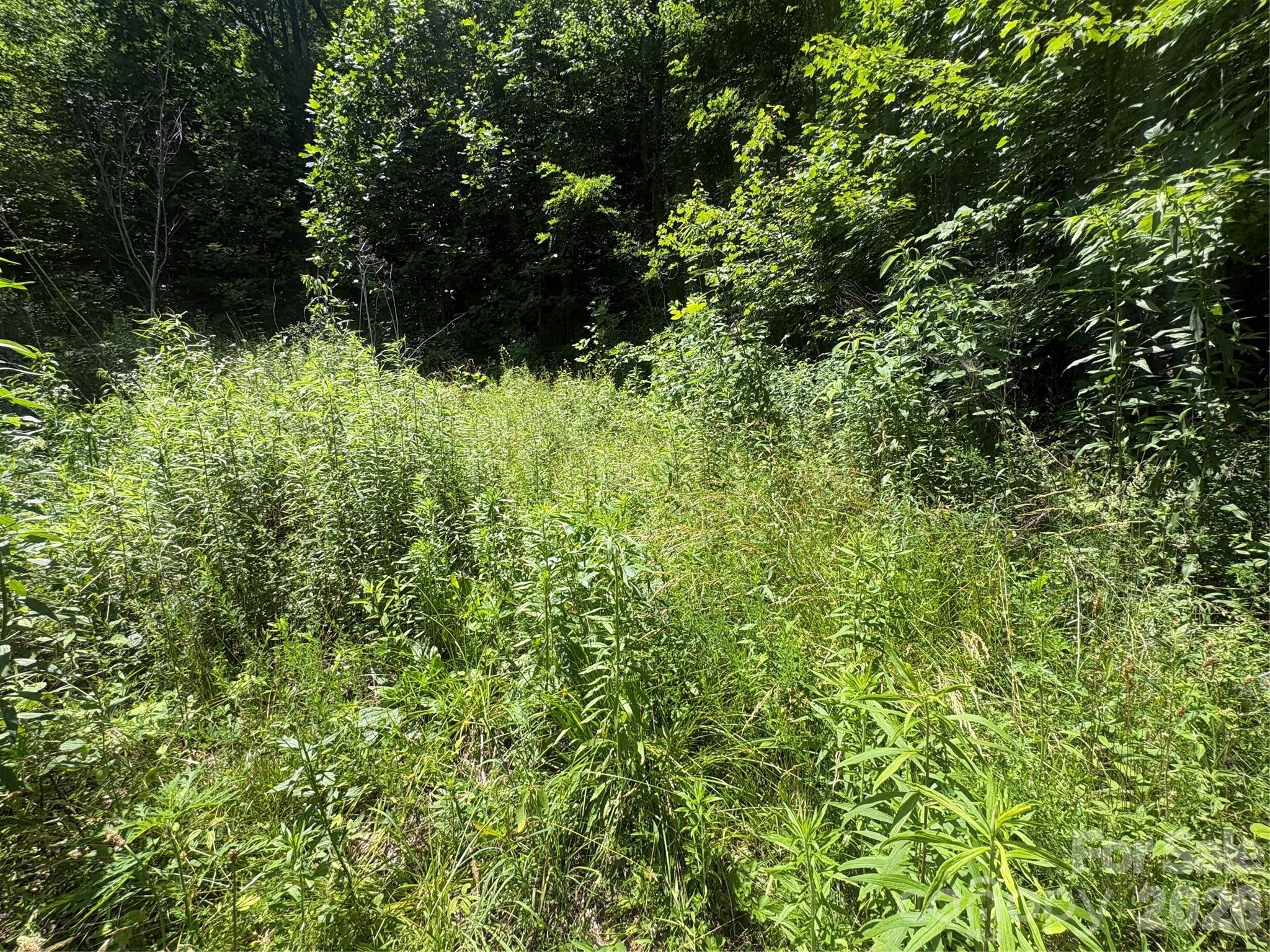 Alarka Creek Properties - Land
