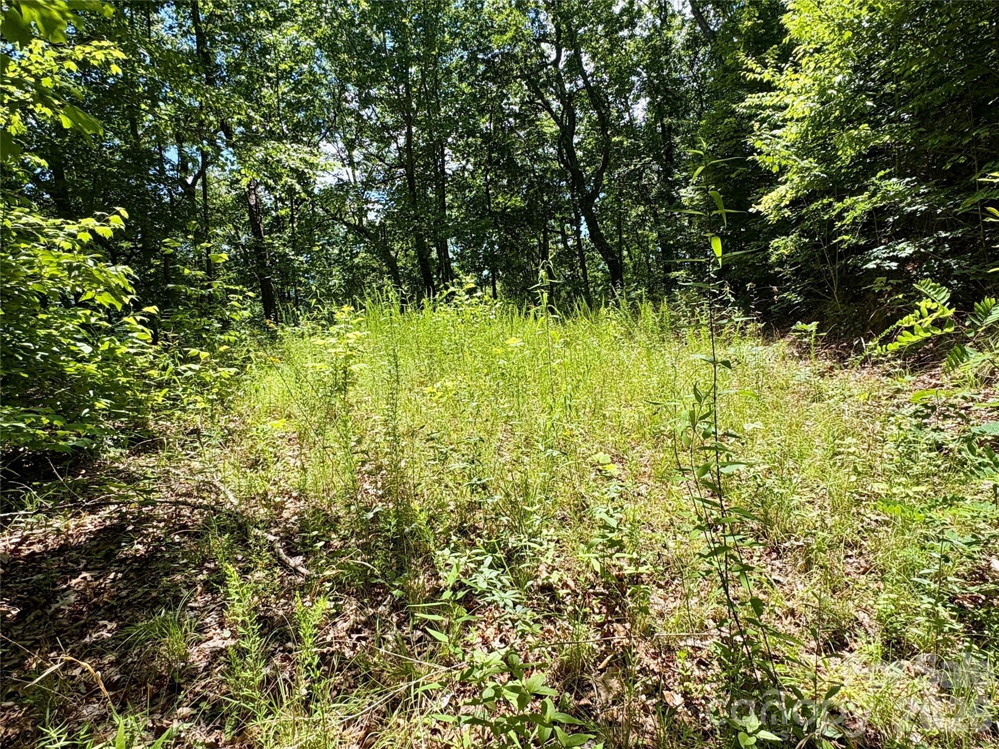 Alarka Creek Properties - Land