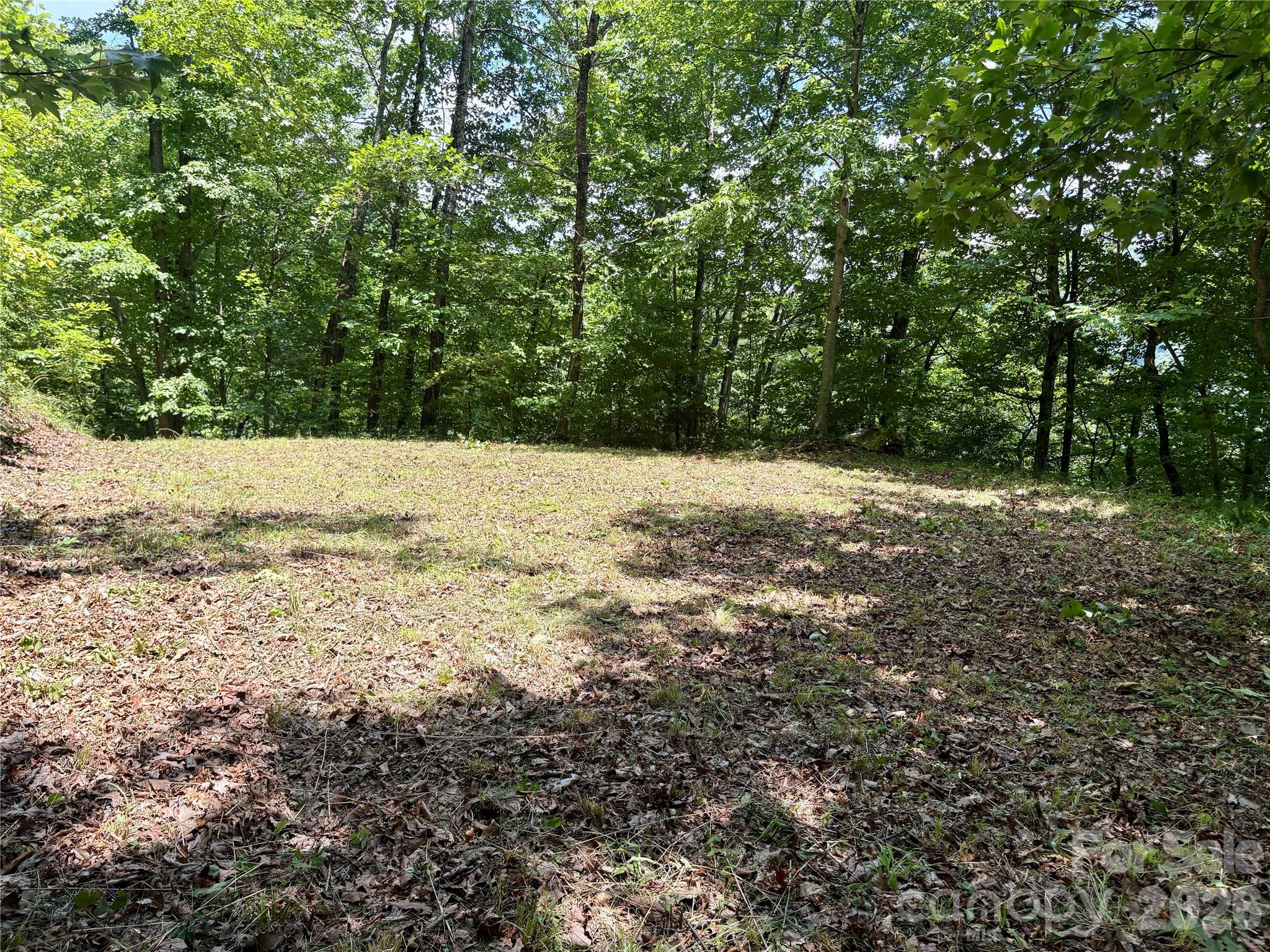 Alarka Creek Properties - Land