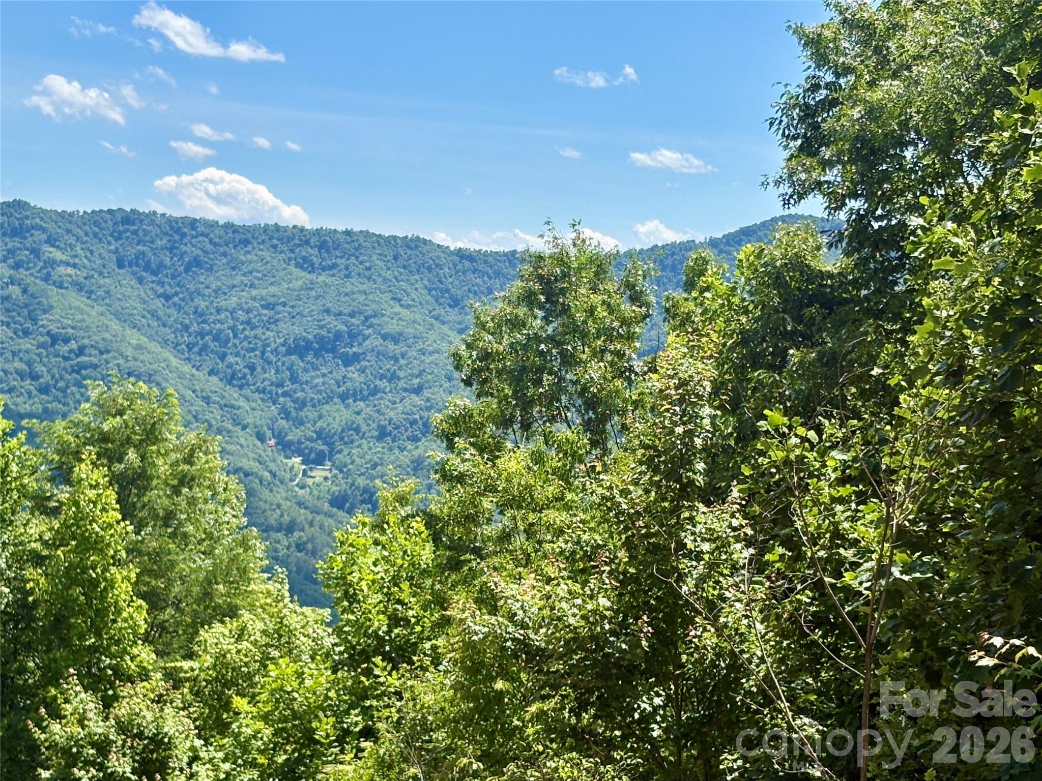 Discover the perfect mountain retreat with this exceptional 4-acre lot, boasting stunning south to southwest views at an impressive 2,850 ft elevation. Enjoy the convenience of paved access right to your driveway, with both the homesite and driveway already excavated and ready for your vision. This property offers a minimum building requirement of just 600 sq. ft., giving you flexibility to design your ideal mountain getaway. The views will be impressive with selective tree trimming; you’ll easily unlock even more breathtaking panoramas—just take a look at the photos, captured 250 ft above the homesite to showcase the full potential. Outdoor enthusiasts will love the easy access to prime trout fishing, as well as the nearby attractions of Bryson City, the Nantahala Gorge, Fontana Lake, and all the wonders of the region. An expired 3-bedroom septic permit is on file, and a power pole is already on the property. Opportunities like this are rare—especially at this price point. Come see for yourself why this is the best mountain view lot without breaking the bank!