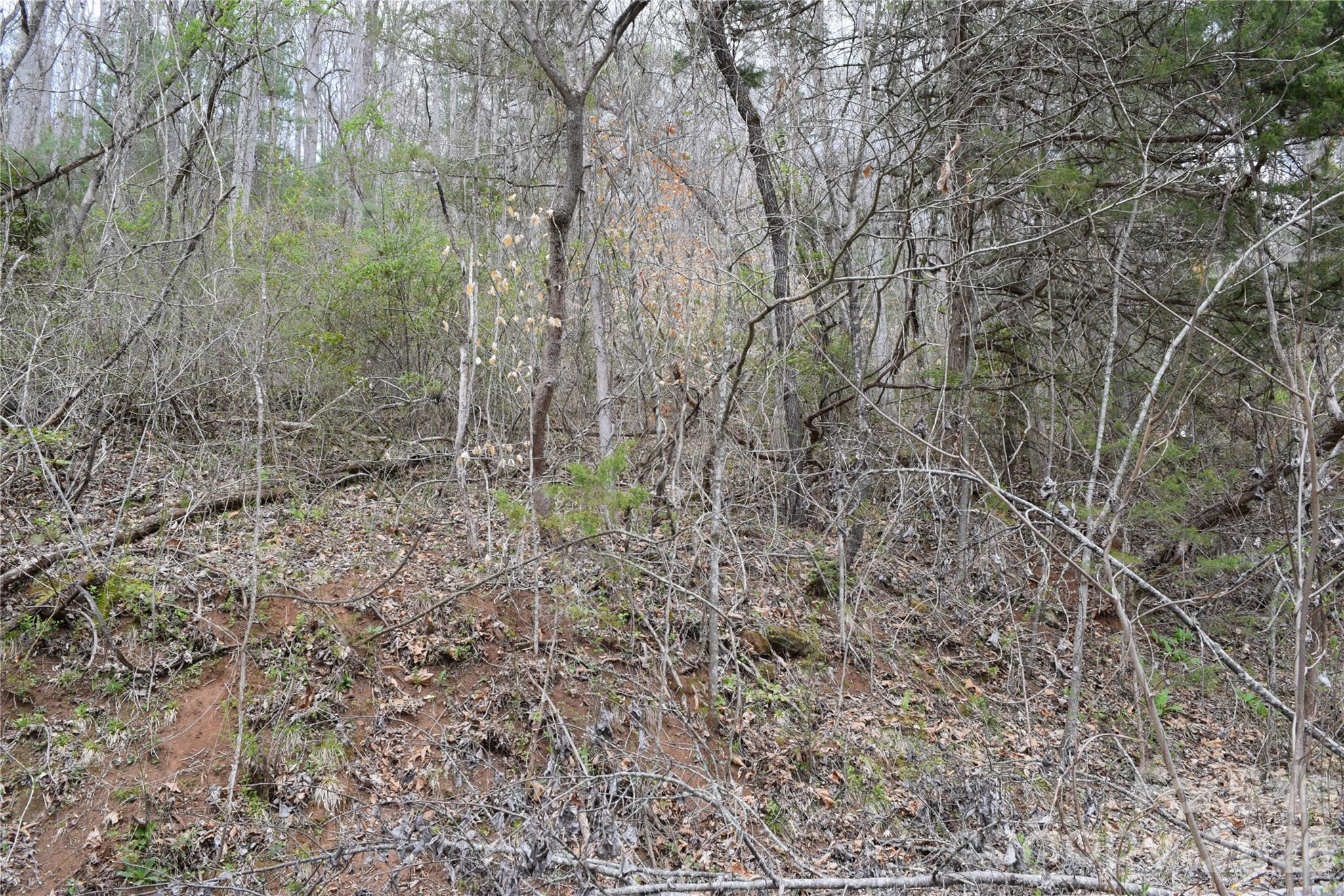 Discover the perfect canvas for your mountain dream home in Cullowhee. This beautiful, tree-covered lot offers the ideal balance of high-country seclusion and town convenience, situated just minutes from the best of Jackson County.

Under a mature canopy of trees, this property ensures lasting privacy and a true "mountain feel." Access is provided via private gravel and dirt roads, keeping traffic to a minimum and preserving the quiet, rustic atmosphere of the neighborhood.

Location is everything, and this property delivers. You are approximately 4 miles from the Jackson County Greenway and the pristine waters of the Tuckasegee River, making it easy to enjoy morning walks, fly fishing, or kayaking. While you’ll feel worlds away, the vibrant shops, local breweries, and dining of downtown Sylva are just a short drive away, along with the campus of Western Carolina University.

Whether you are looking to build a seasonal getaway or a permanent residence, this lot provides the foundation for a life lived outdoors. Don't miss your chance to secure a piece of the Blue Ridge Mountains.

Contact us today to schedule a visit and see the potential for yourself!

This lot is marked with two pieces of orange flagging on trees. If you see a tree with three pieces of flagging, it is on the border with other PINs.