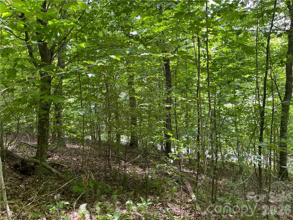 Rich Knob Estates - Land