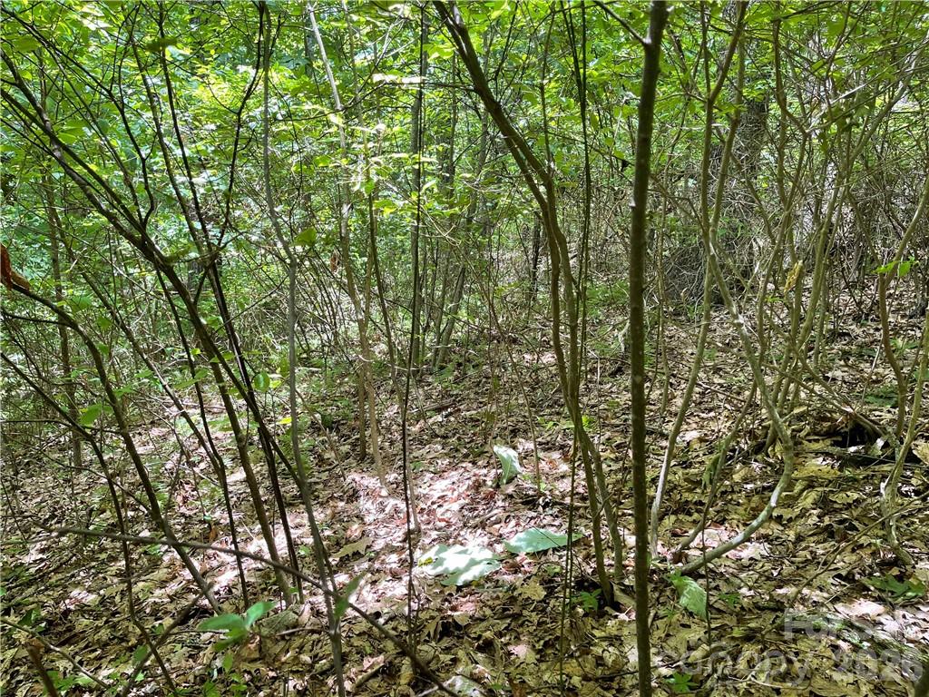 Rich Knob Estates - Land