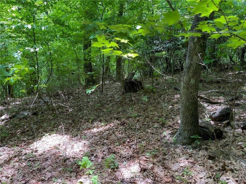 Rich Knob Estates - Land