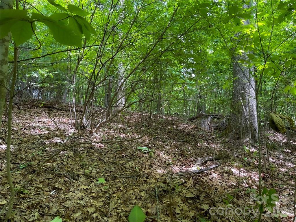 Rich Knob Estates - Land